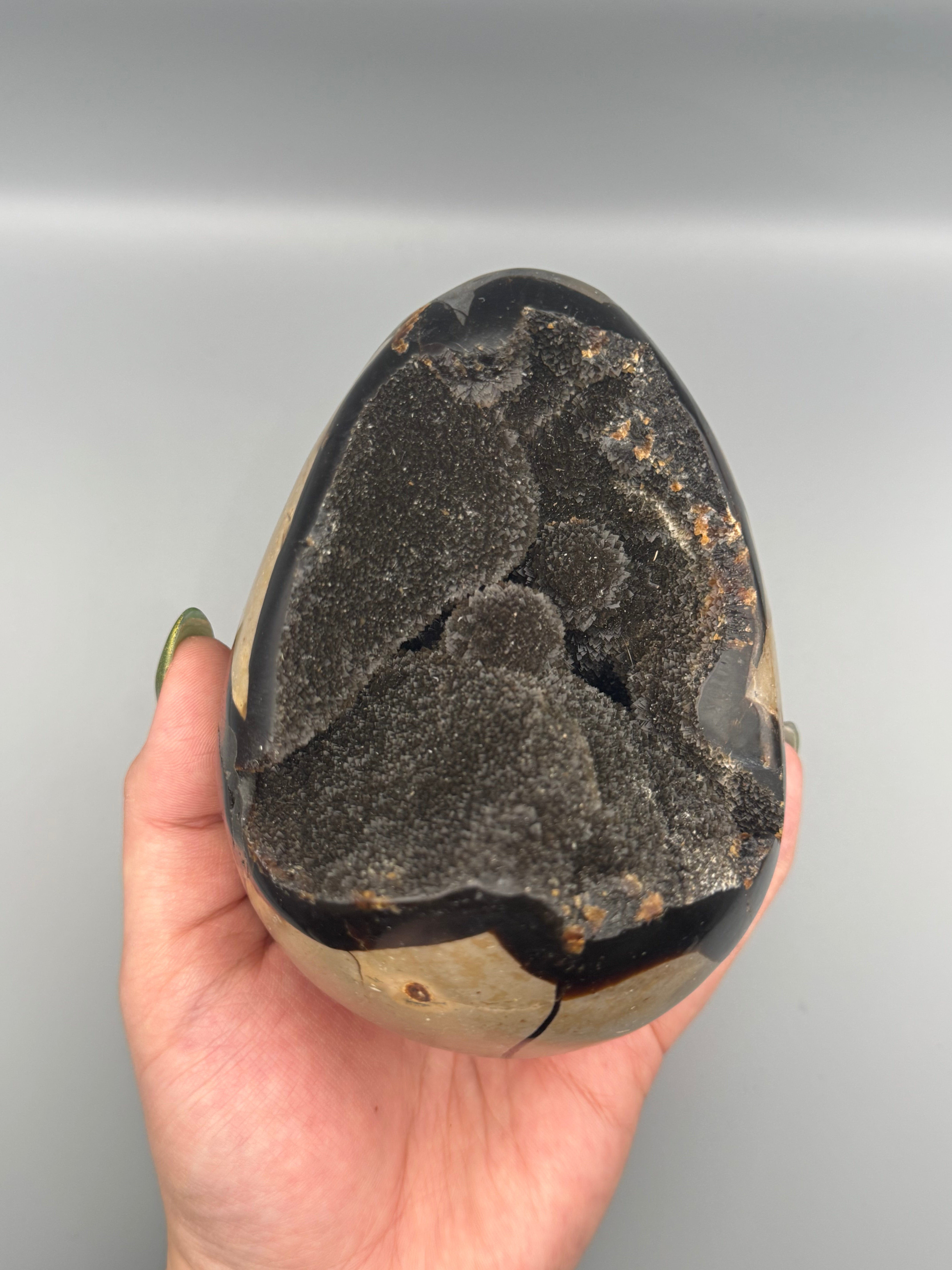 •SEPTARIAN NODULE• dragon egg