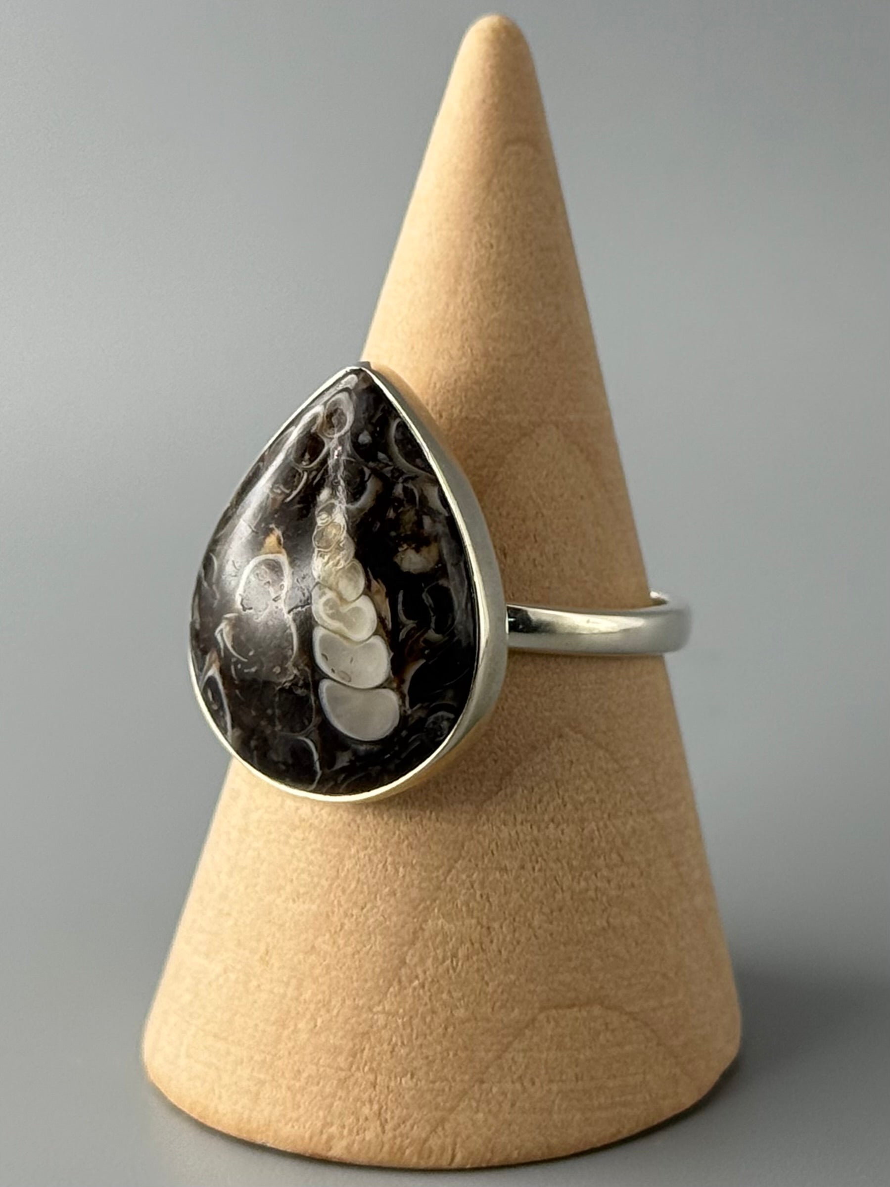 •TURRITELLA FOSSIL - TEAR• simple bezel silver ring (size 9)