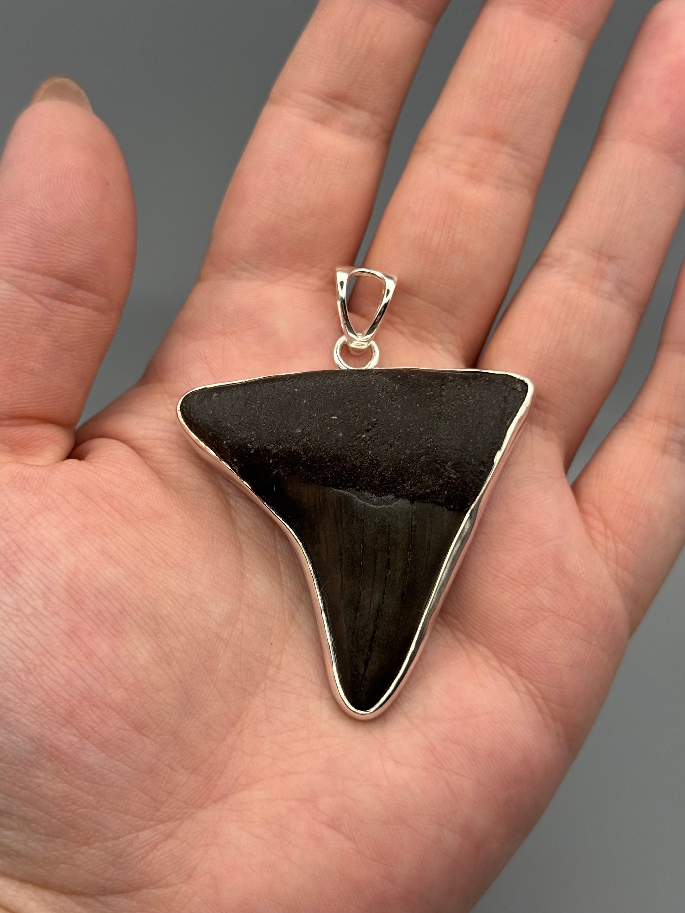 •FOSSILIZED SHARK TOOTH XL• sterling silver pendant