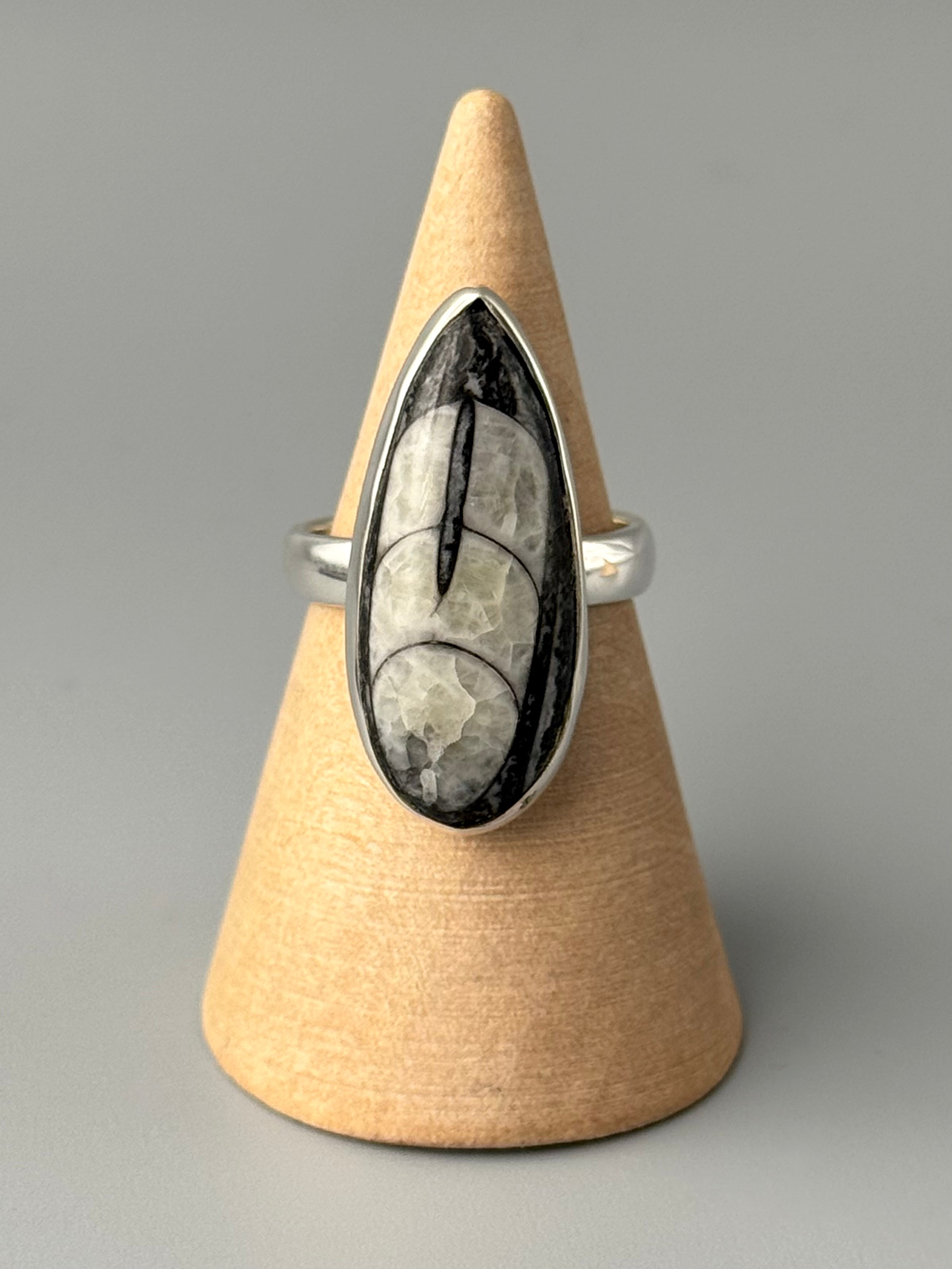 •ORTHOCERAS FOSSIL - 1• silver ring (size 7)