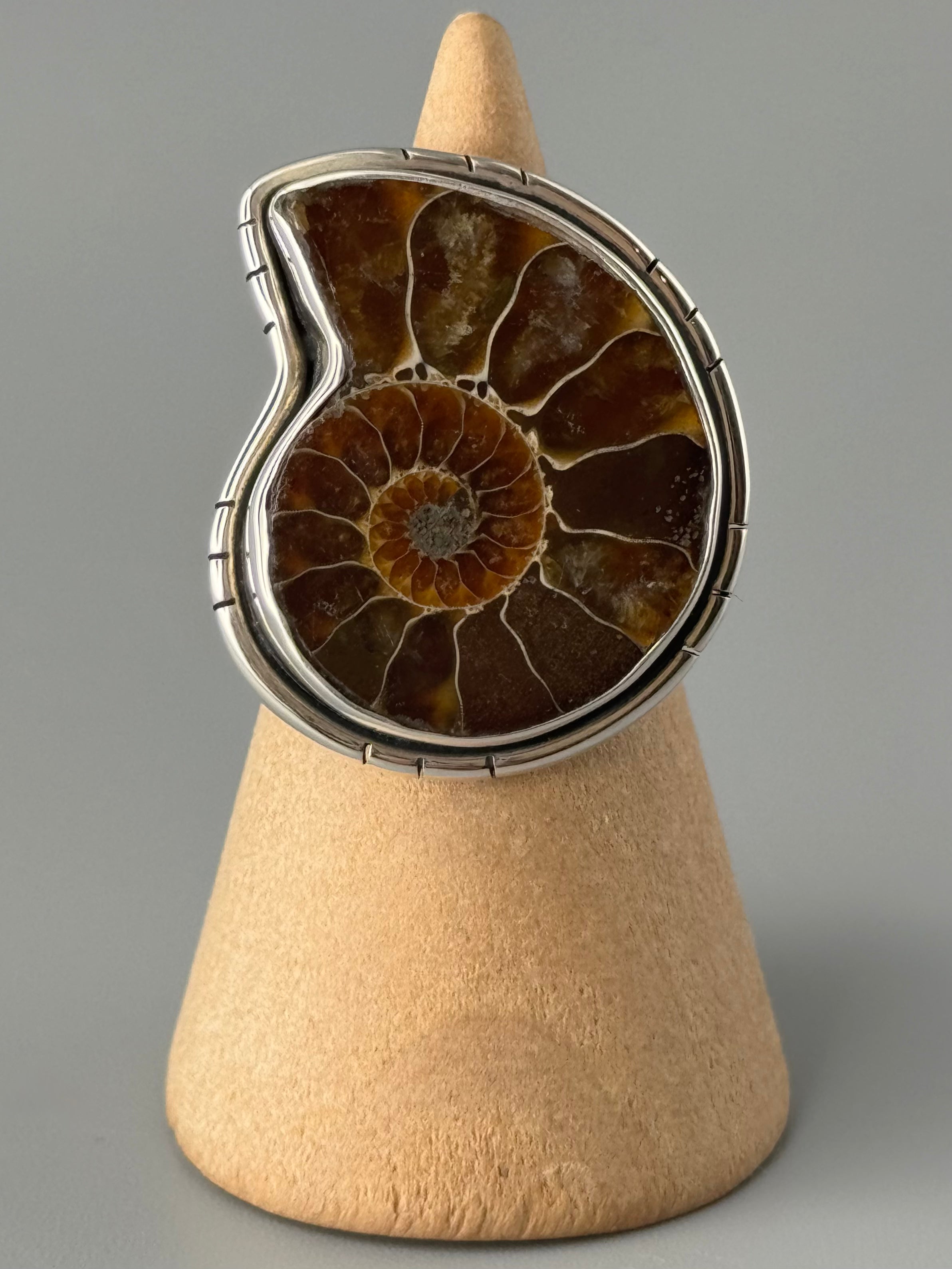 •AMMONITE• tiered bezel silver ring (size 7.75)