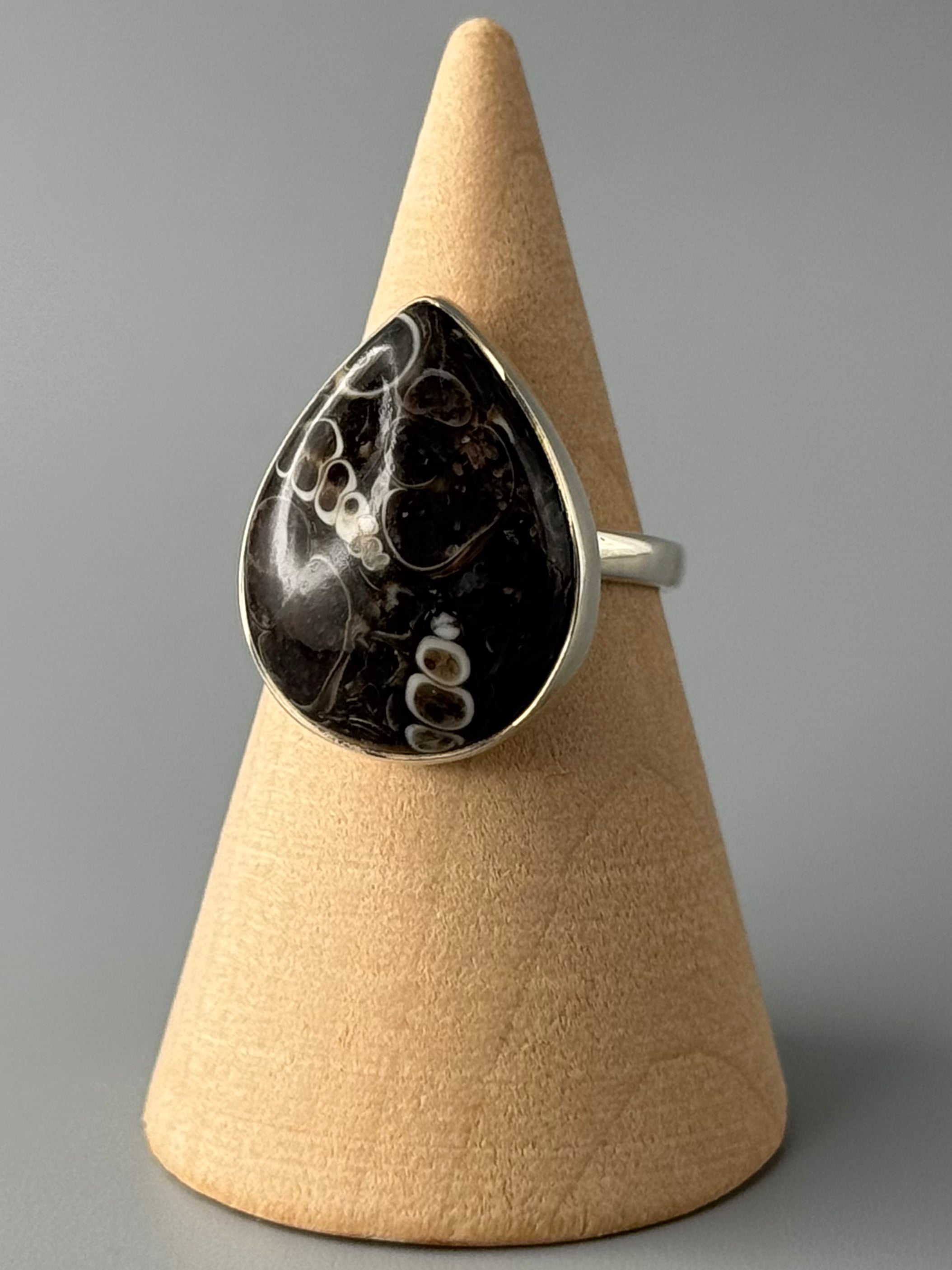 •TURRITELLA FOSSIL - TEAR - 2• simple bezel silver ring (size 6)