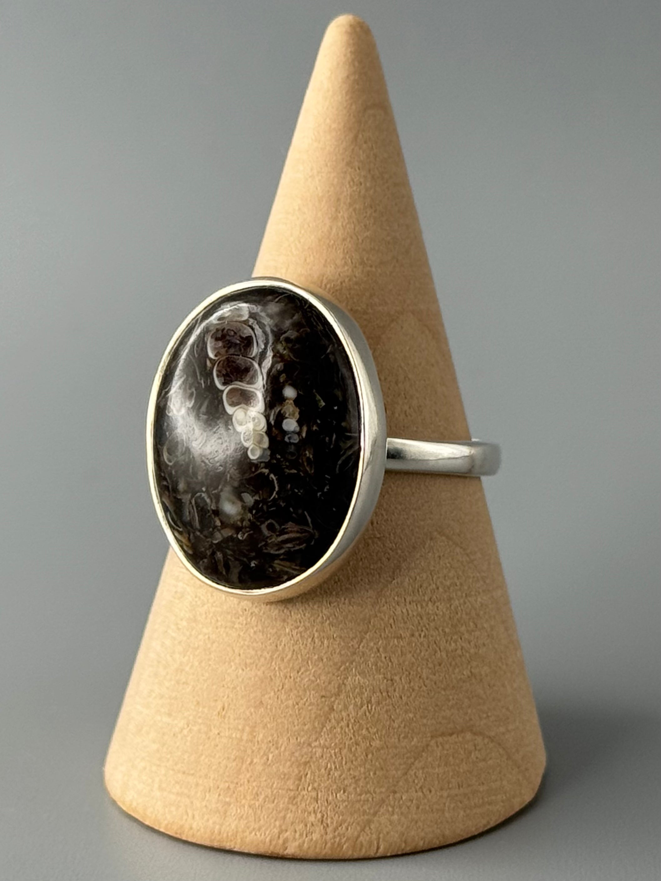 •TURRITELLA FOSSIL - OVAL• simple bezel silver ring (size 9)