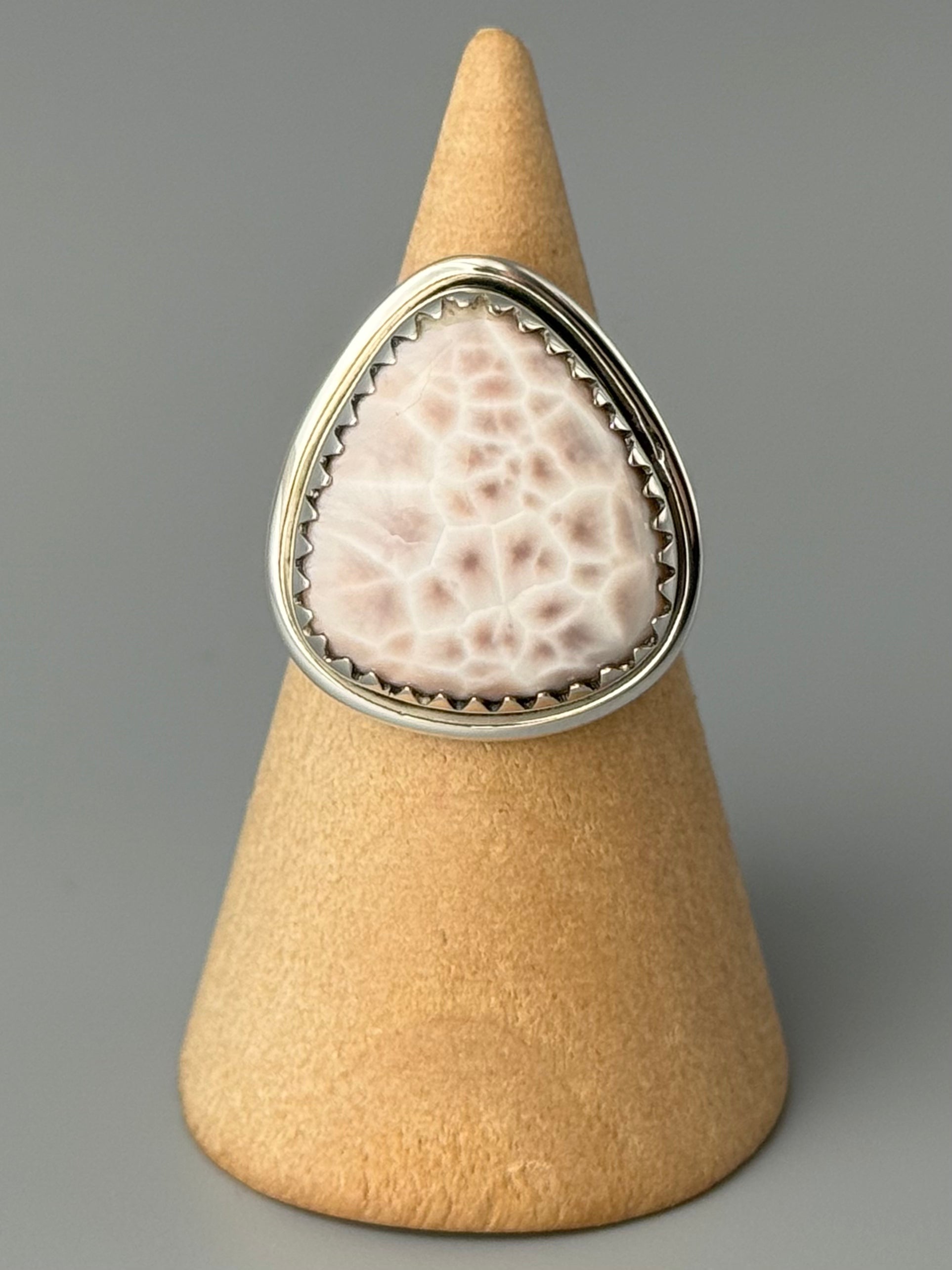 •THOMSONITE - ROUNDED TRIANGLE• serrated bezel silver ring (size 6)
