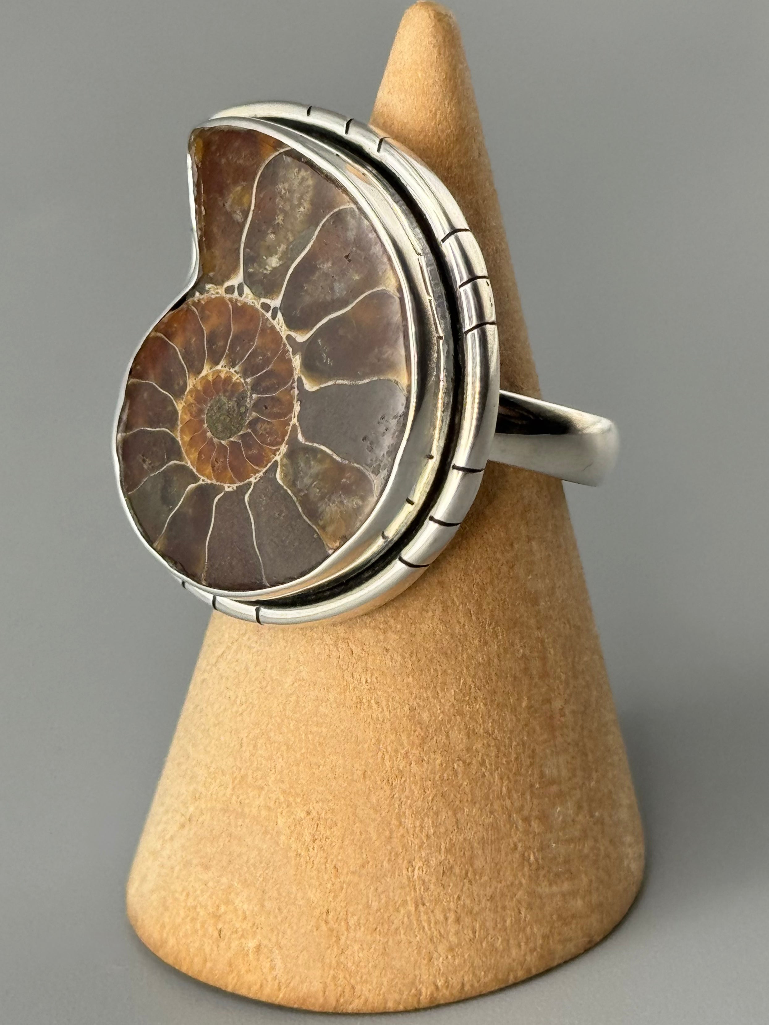 •AMMONITE• tiered bezel silver ring (size 7.75)