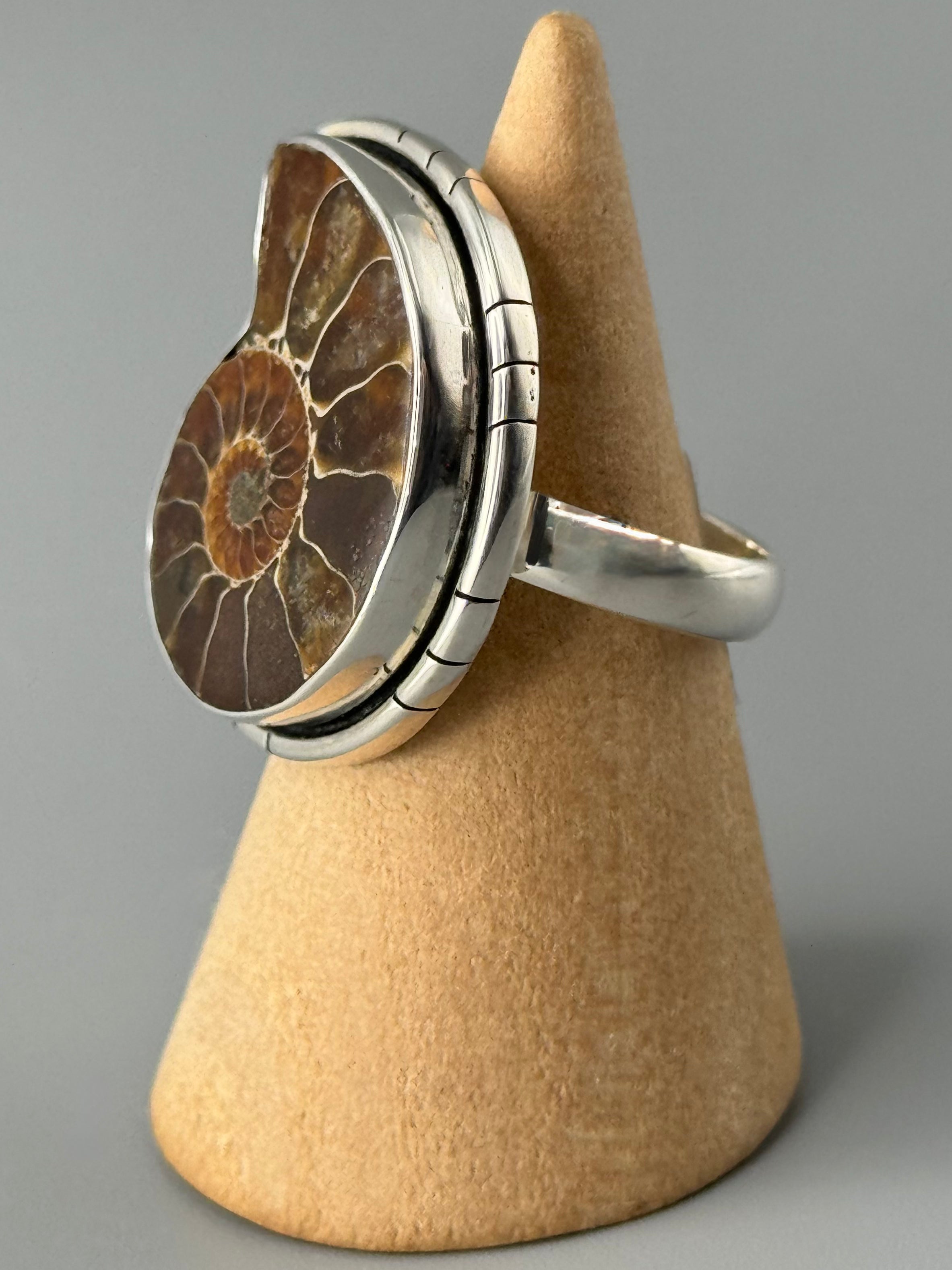 •AMMONITE• tiered bezel silver ring (size 7.75)