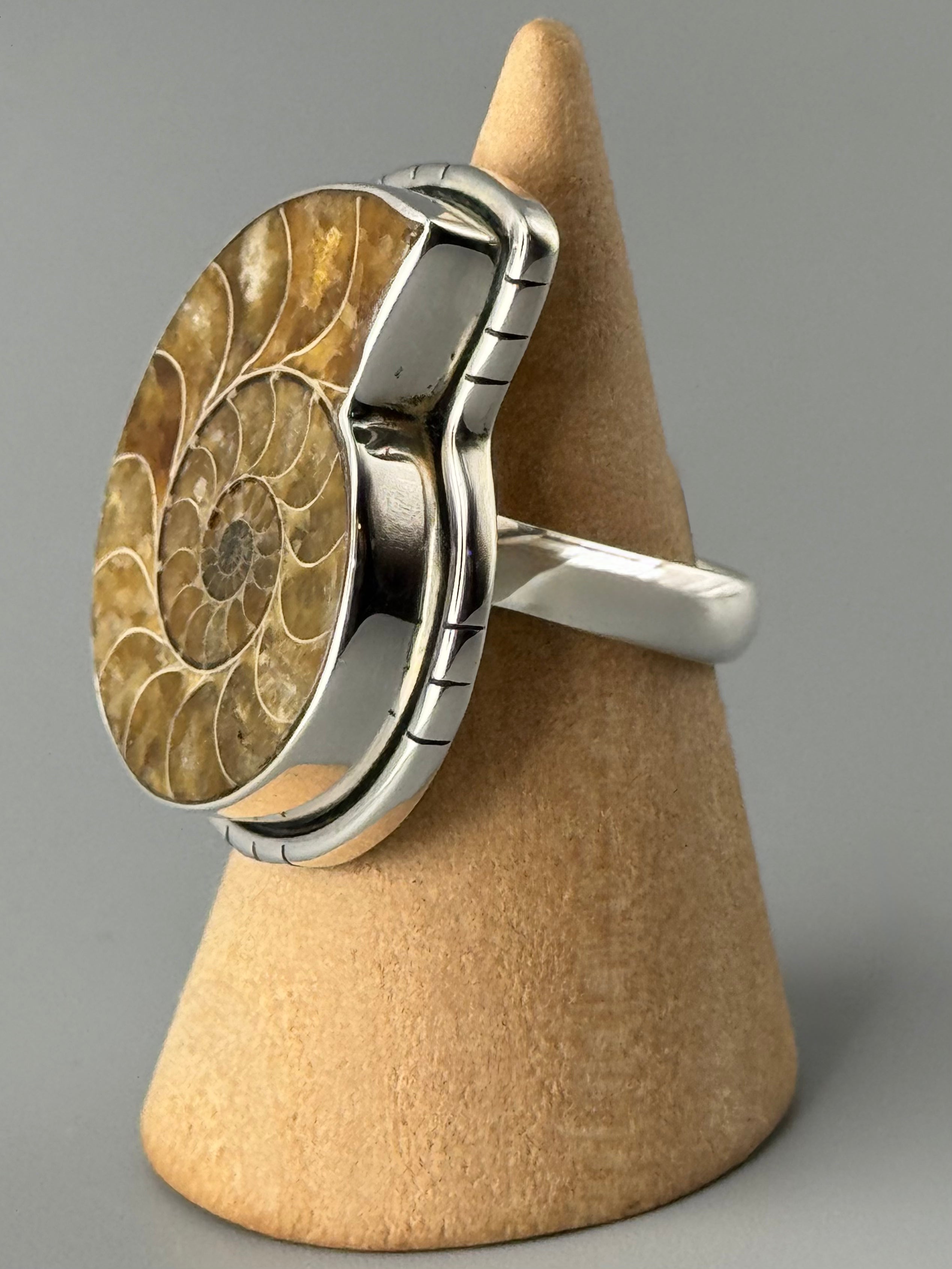 •AMMONITE• tiered bezel silver ring (size 9)