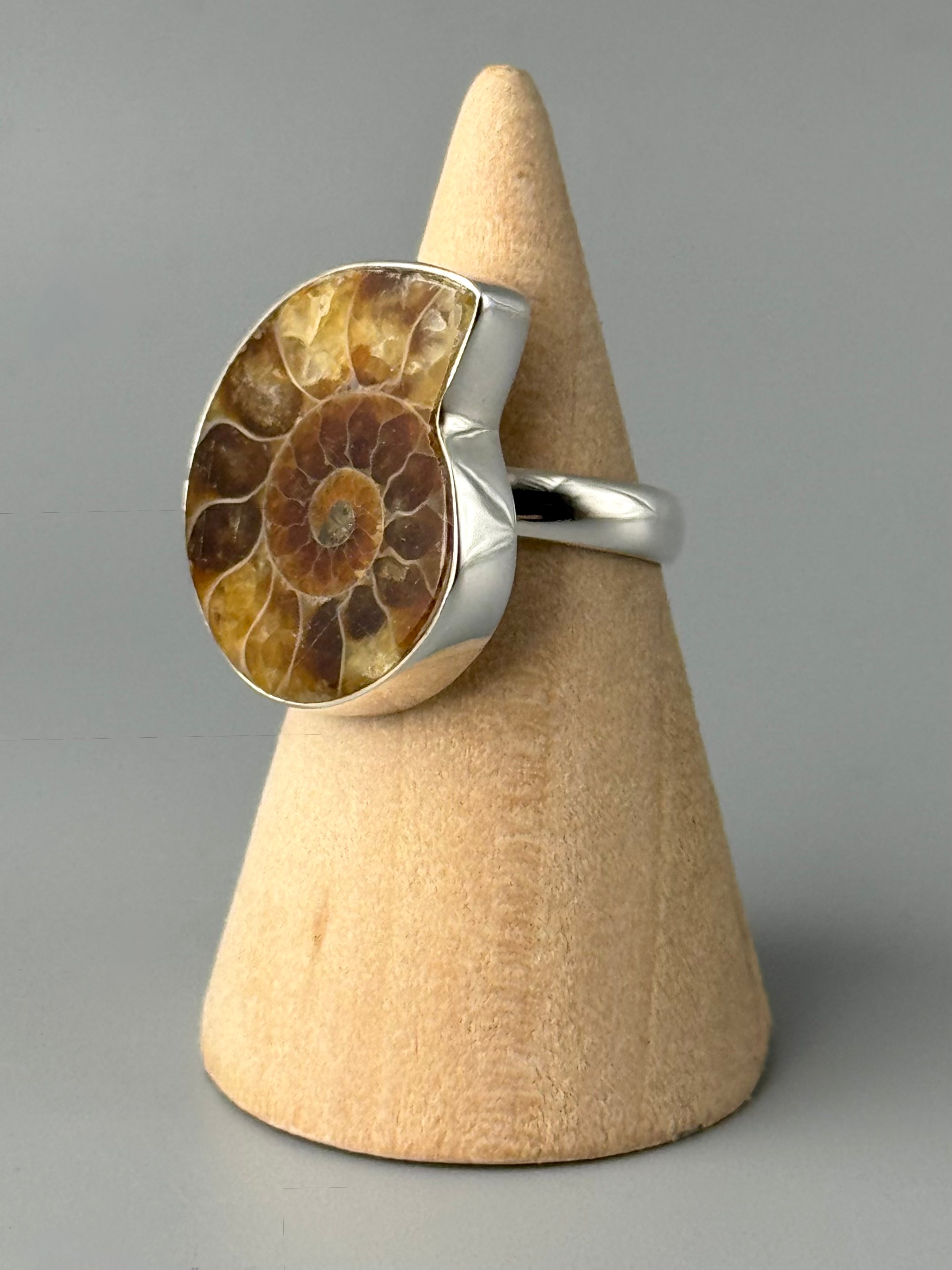 •AMMONITE FOSSIL - 1• silver ring (size 7)