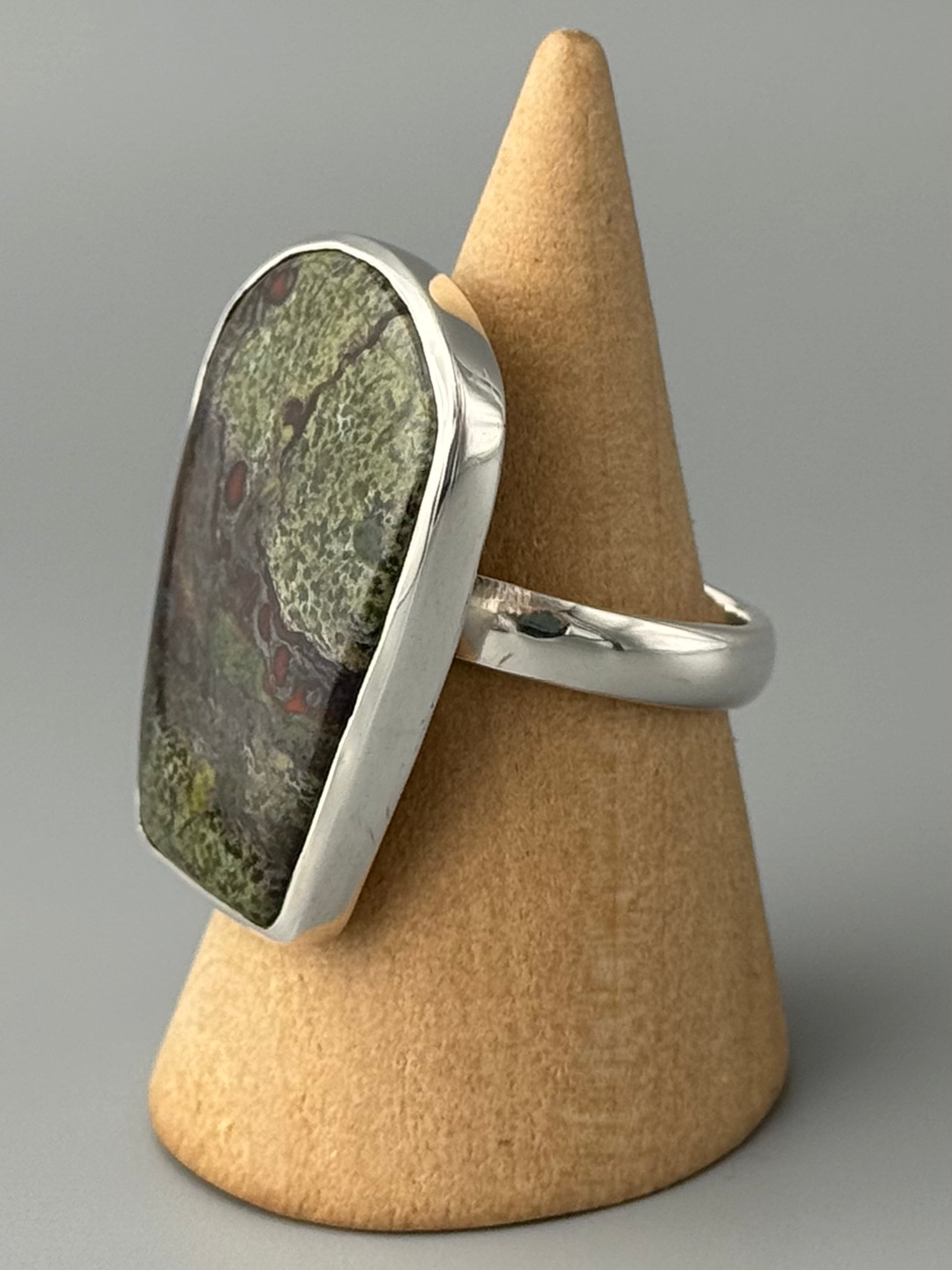 •DRAGON'S BLOOD JASPER - ARCHWAY• simple bezel silver ring (size 9)