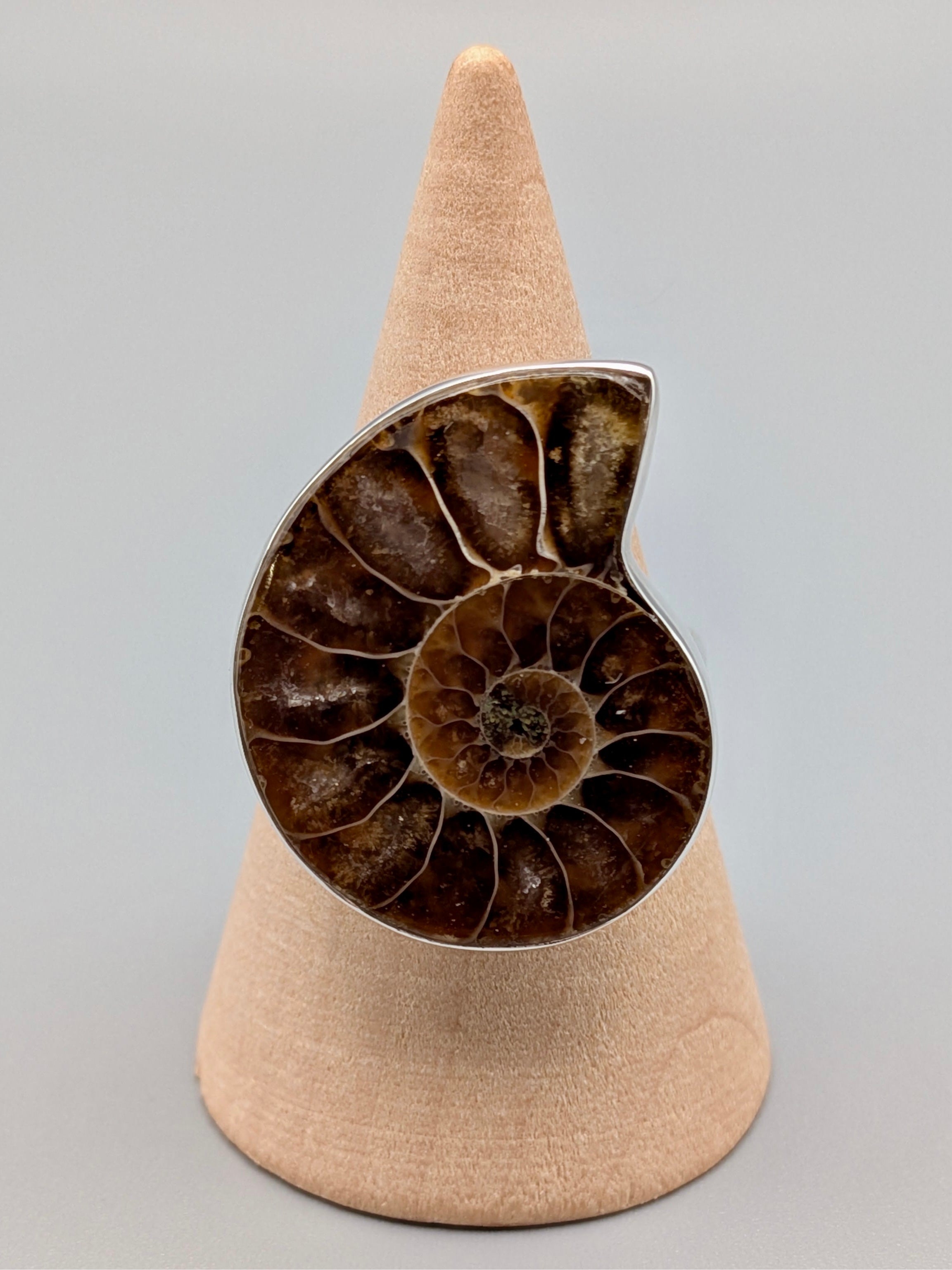 •AMMONITE• simple bezel silver ring (size 10)