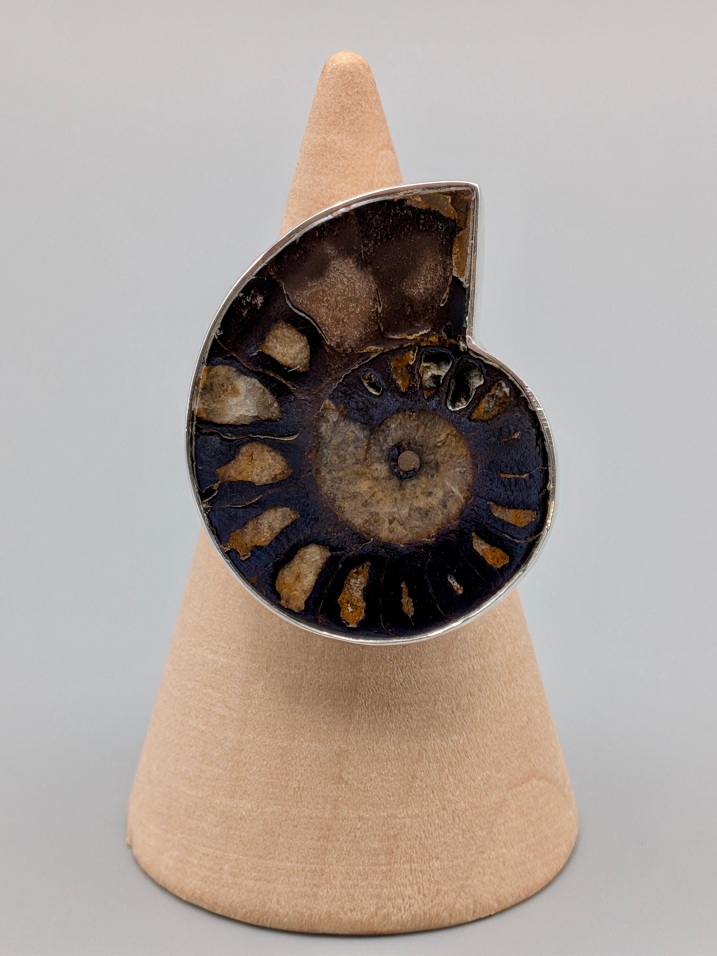 •AMMONITE• simple bezel silver ring (size 8.25)