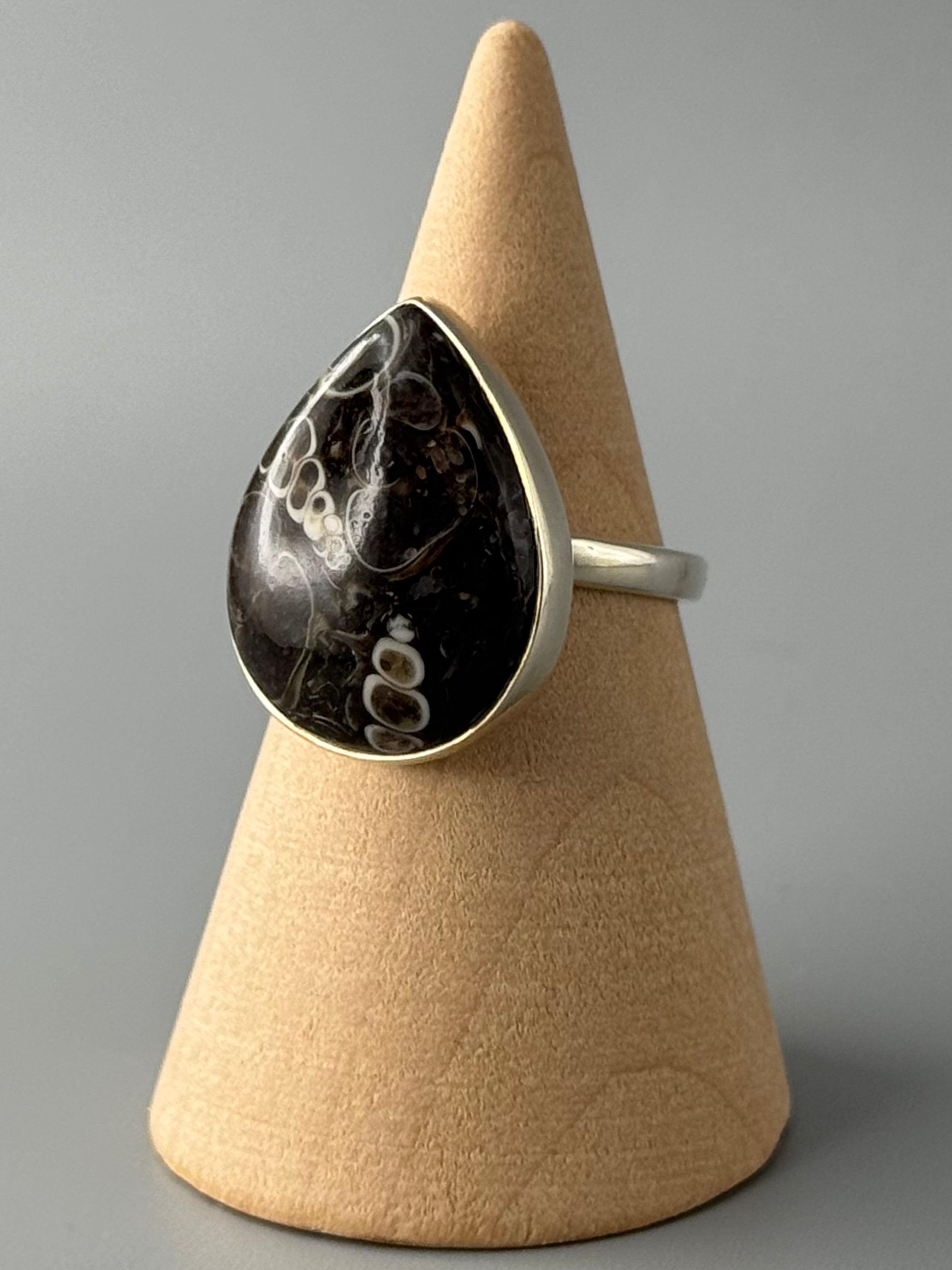•TURRITELLA FOSSIL - TEAR - 2• simple bezel silver ring (size 6)