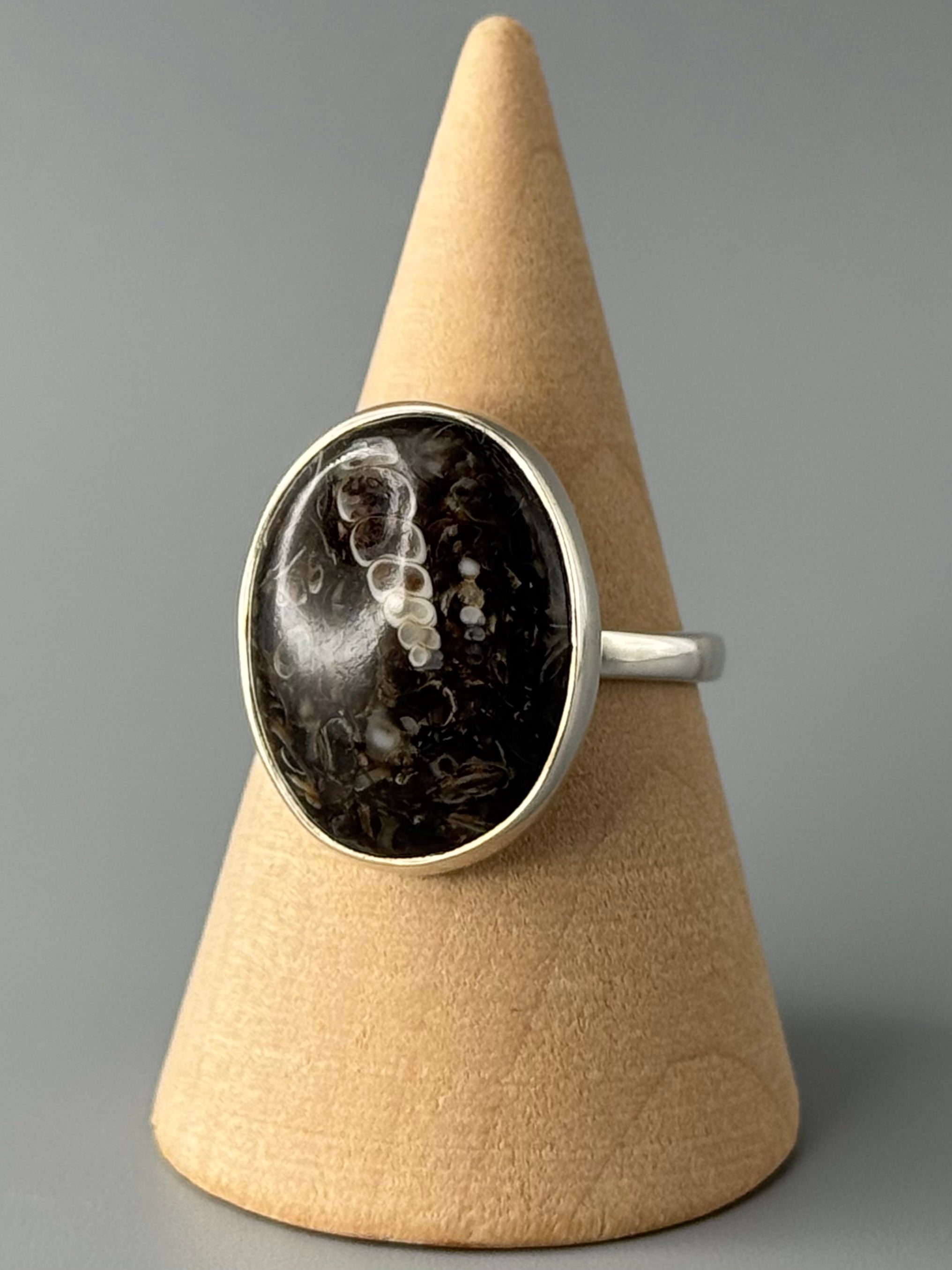 •TURRITELLA FOSSIL - OVAL• simple bezel silver ring (size 9)