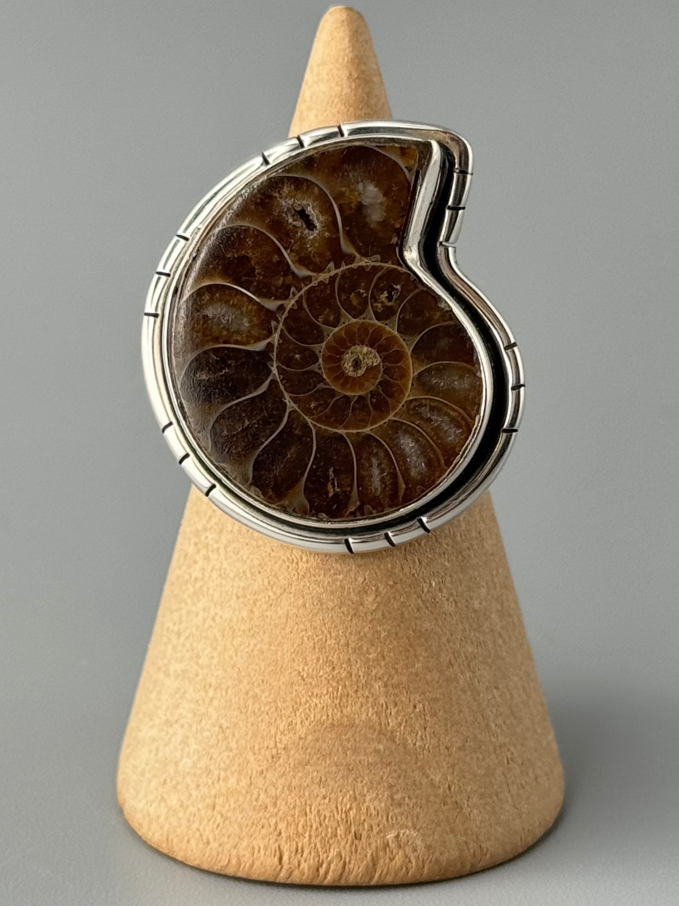 •AMMONITE• tiered bezel silver ring (size 7)