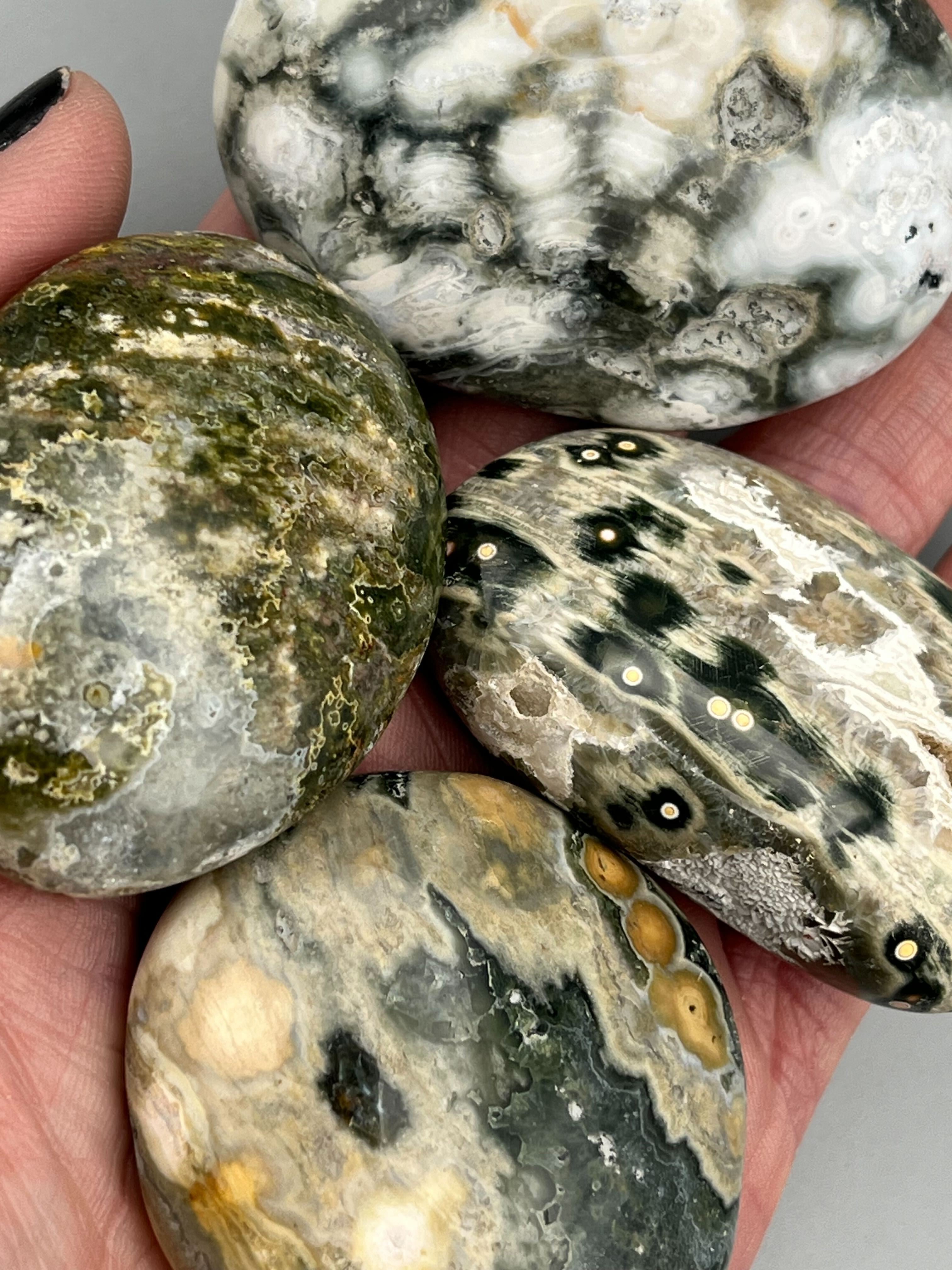 •OCEAN JASPER 🜄• palm stone