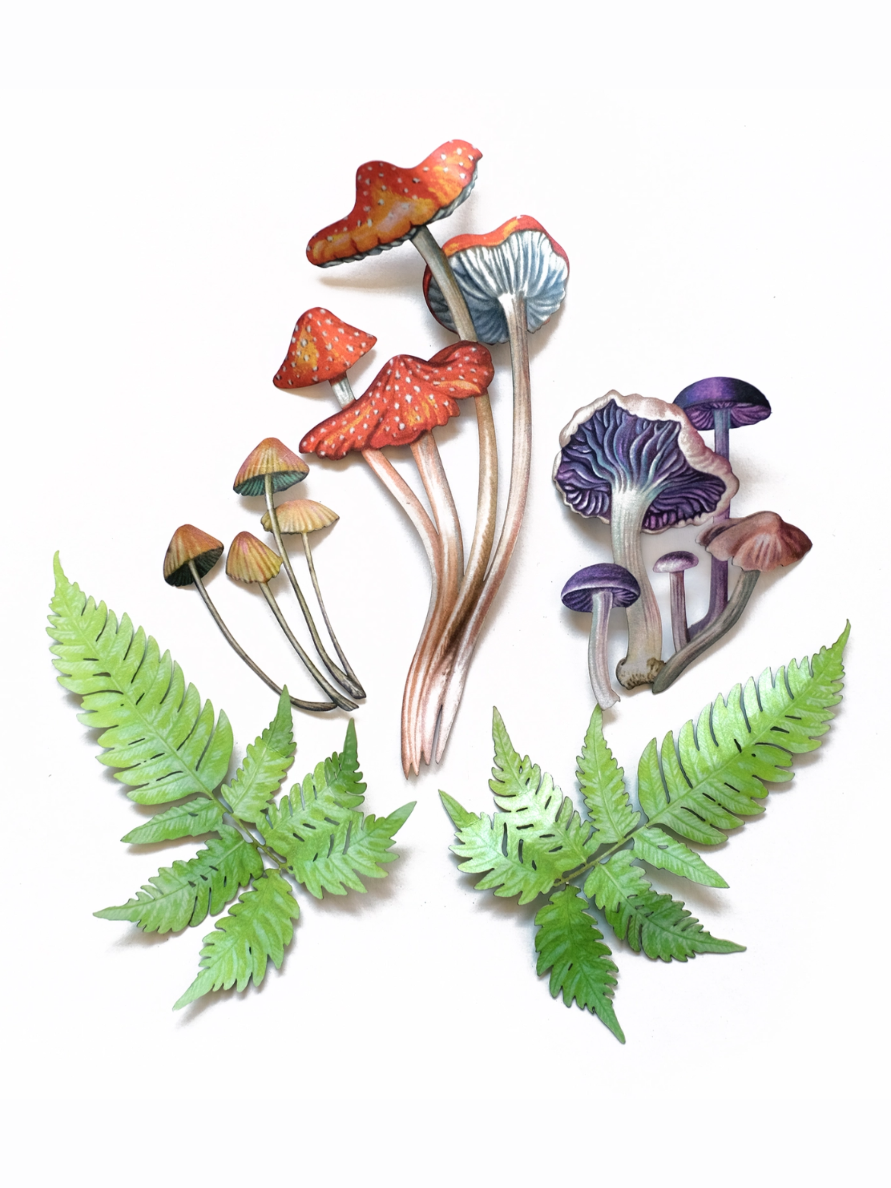 •FUNGAL• mushroom fine paper specimens