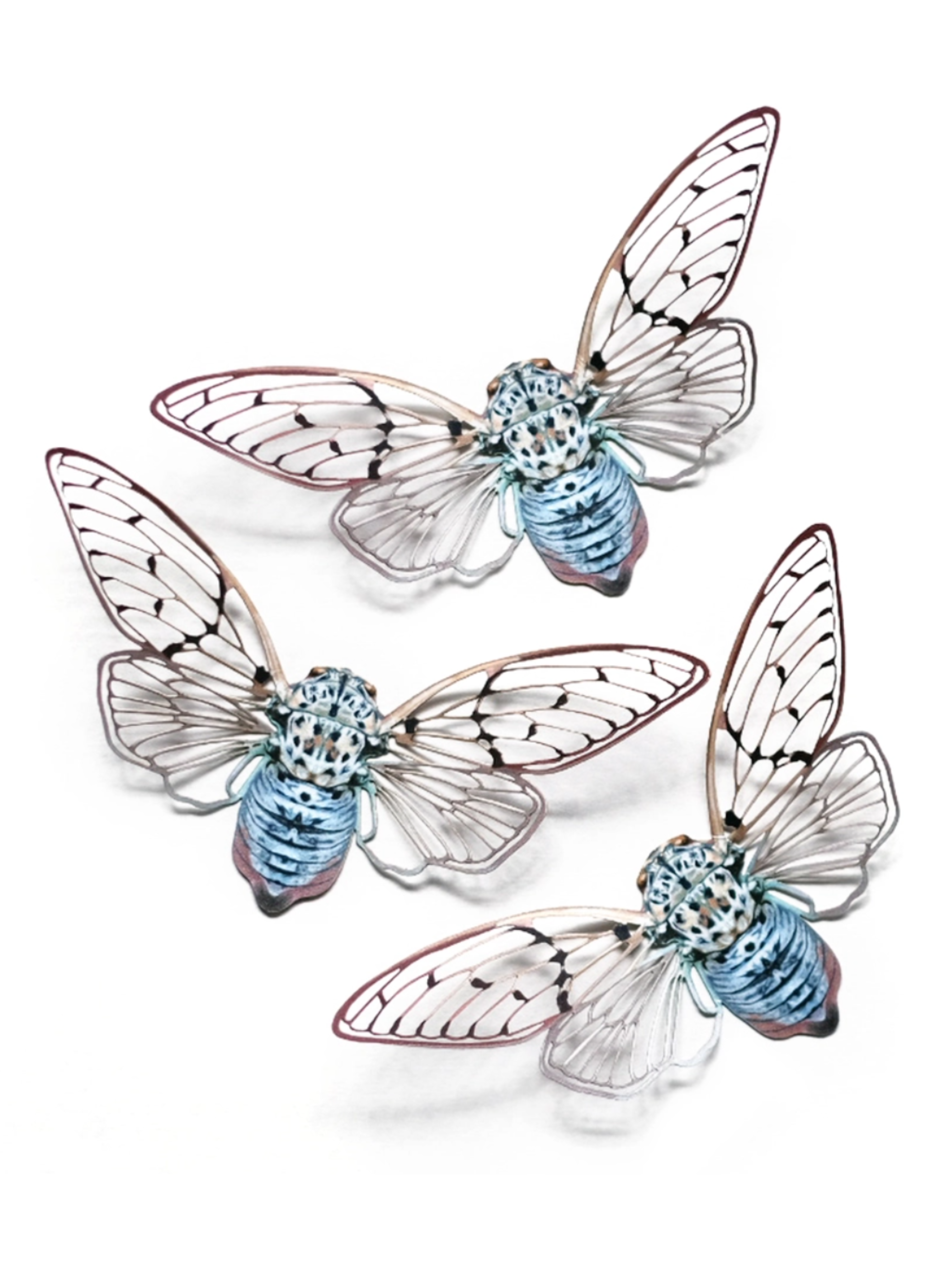 •GHOST• cicada fine paper specimens