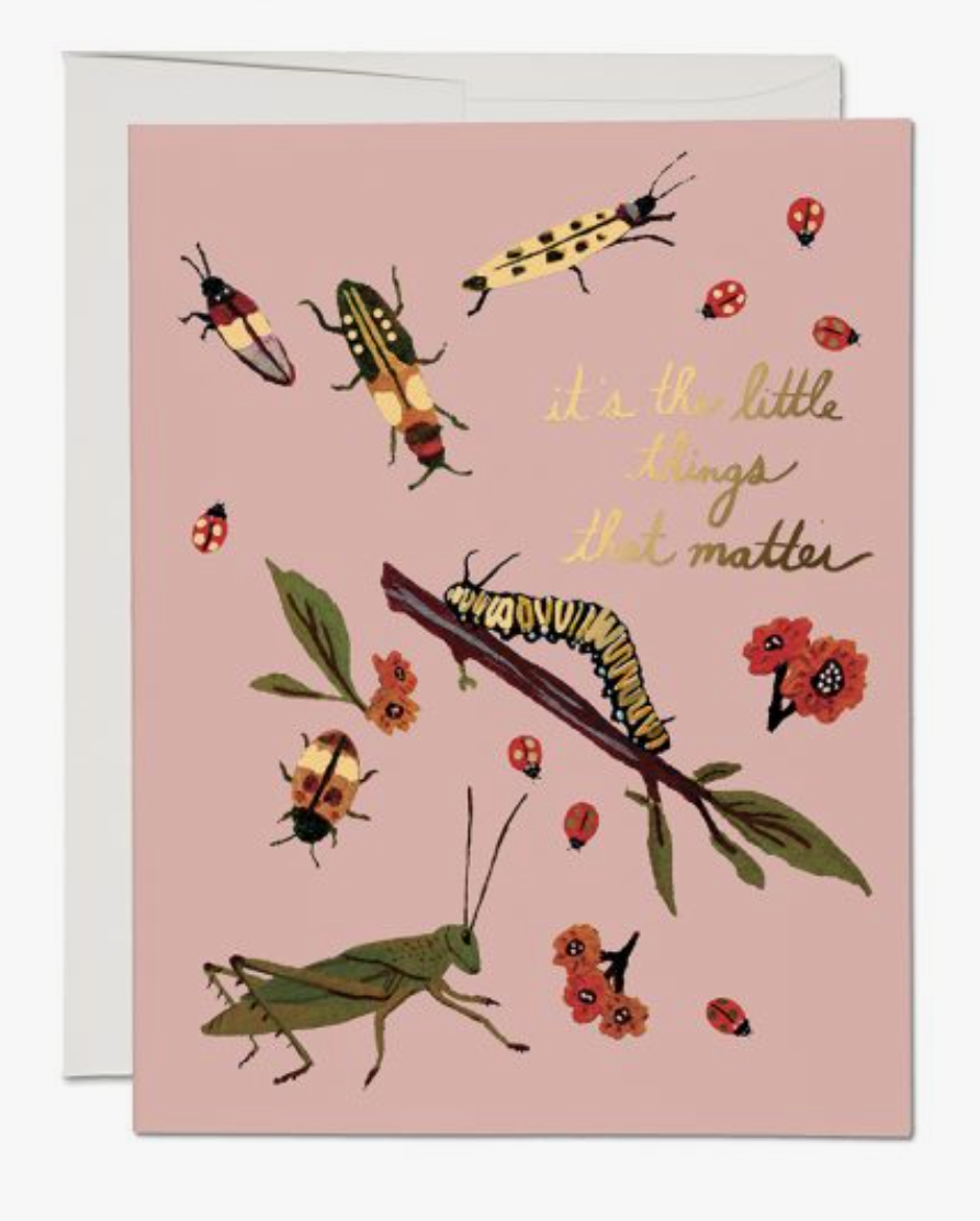 •LITTLE BUGS• thank you card