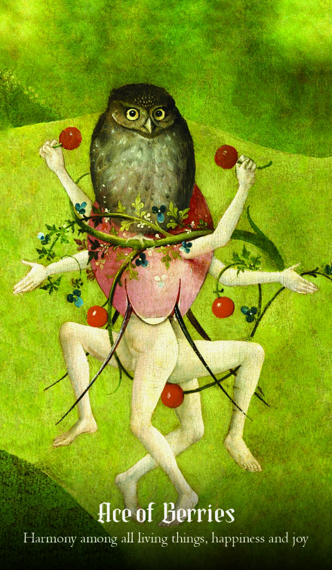 •HIERONYMUS BOSCH• tarot deck