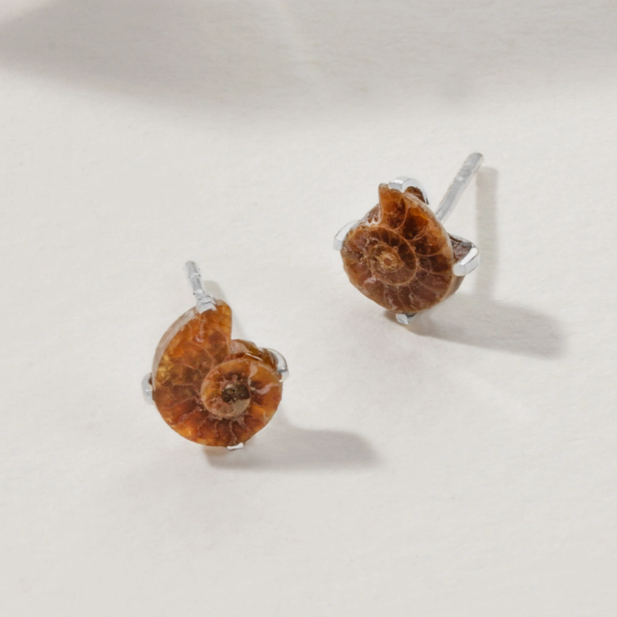 •AMMONITE• silver prong set stud earrings