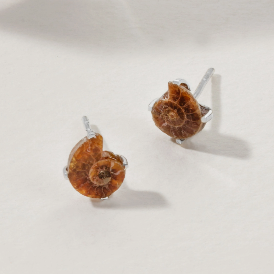 •PRONG SET• ammonite silver stud earrings