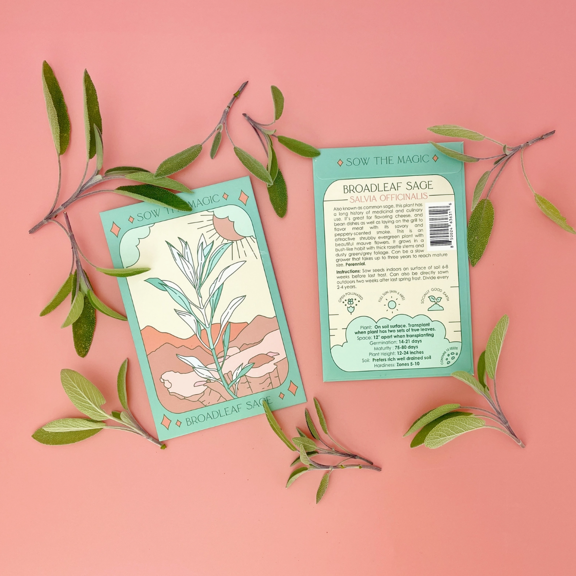 •SEEDS - HERBS & GREENS• tarot inspired garden (various options)
