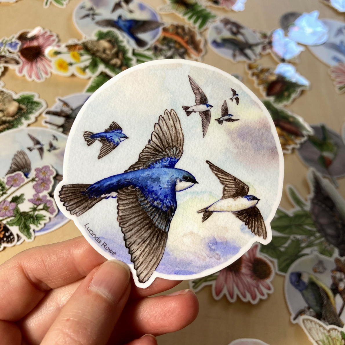 •BIRDS & CRITTERS• vinyl stickers