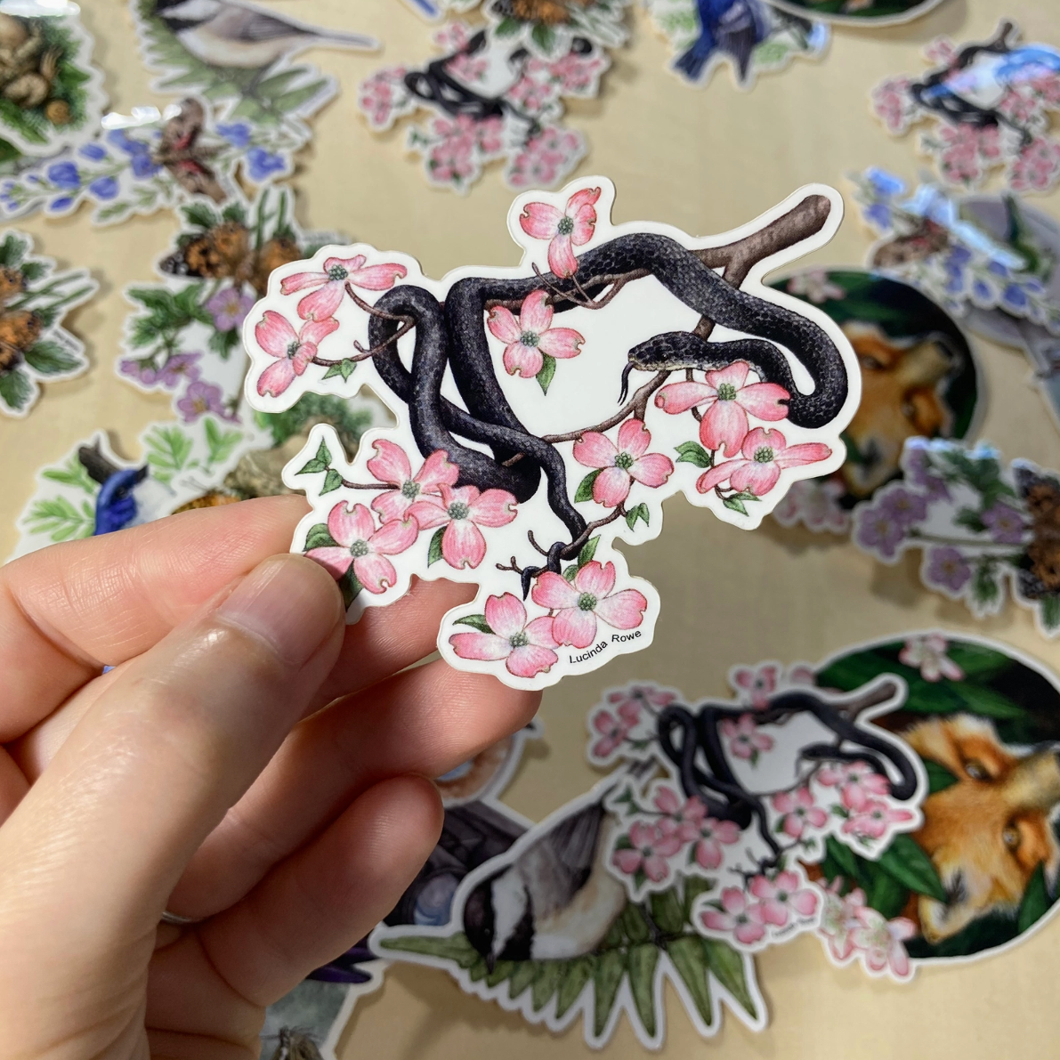 •REPTILES & AMPHIBIANS• vinyl stickers