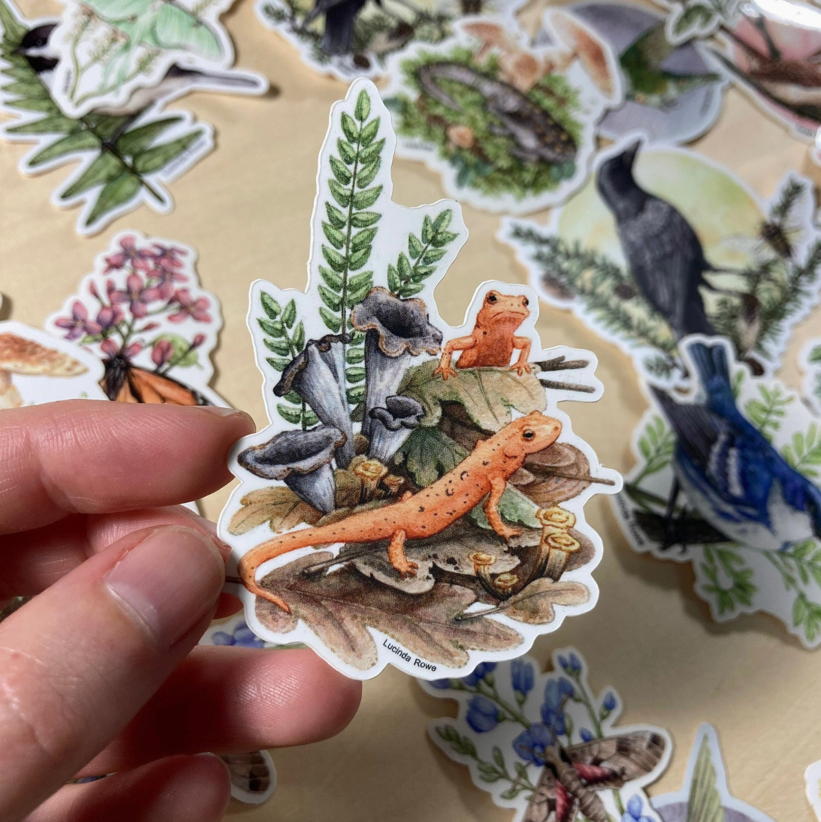 •REPTILES & AMPHIBIANS• vinyl stickers