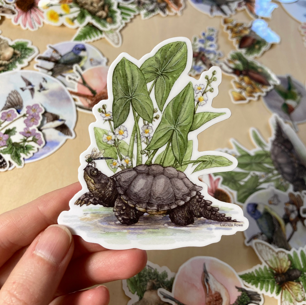 •REPTILES & AMPHIBIANS• vinyl stickers