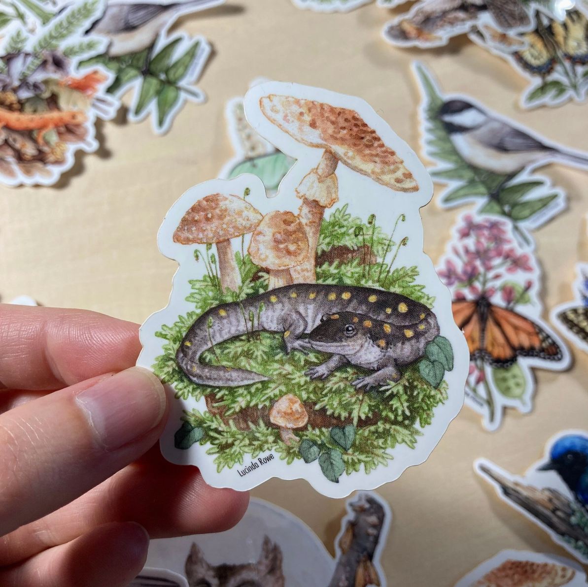 •REPTILES & AMPHIBIANS• vinyl stickers