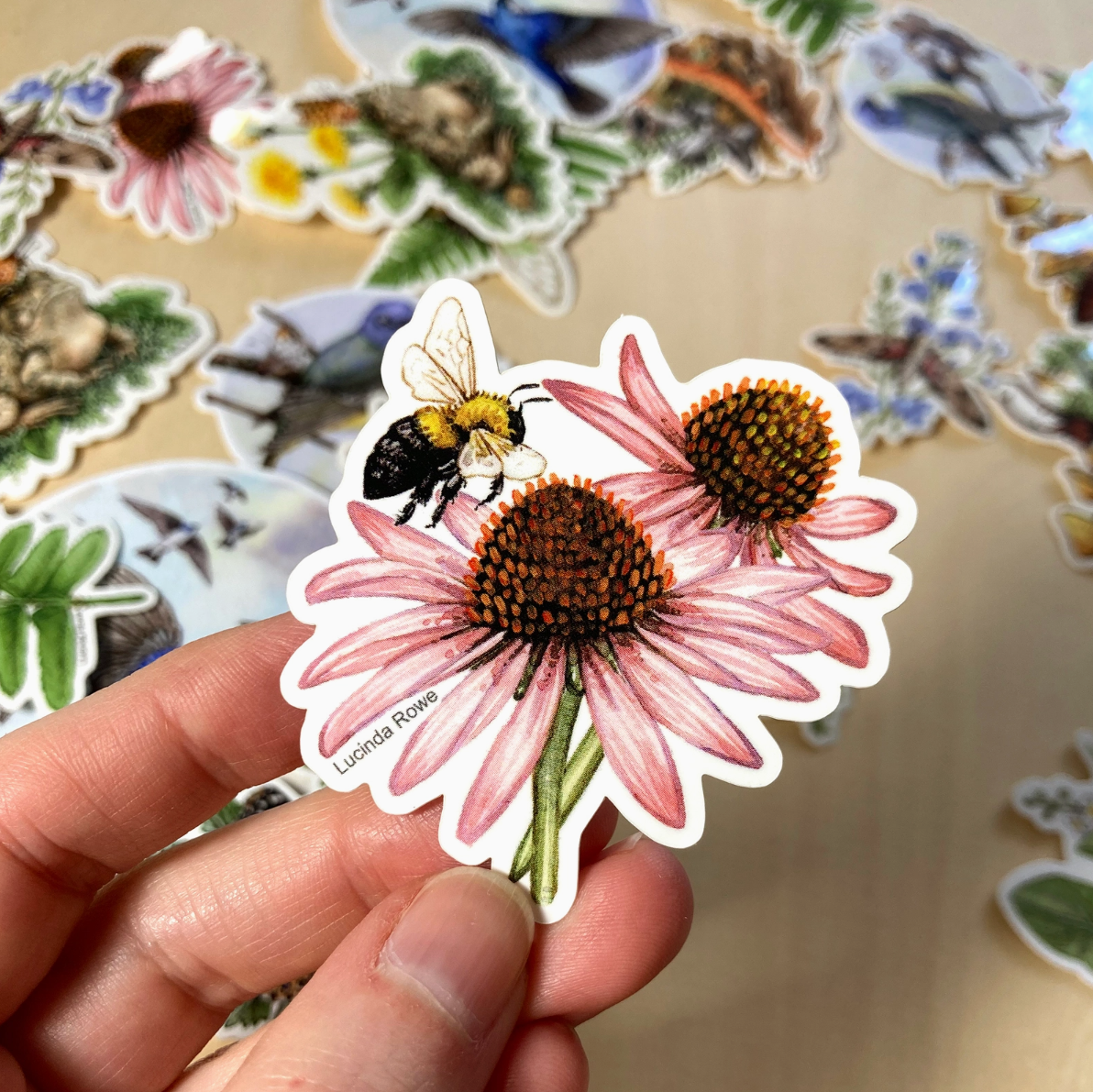 •BUTTERFLIES & BUGS• vinyl stickers