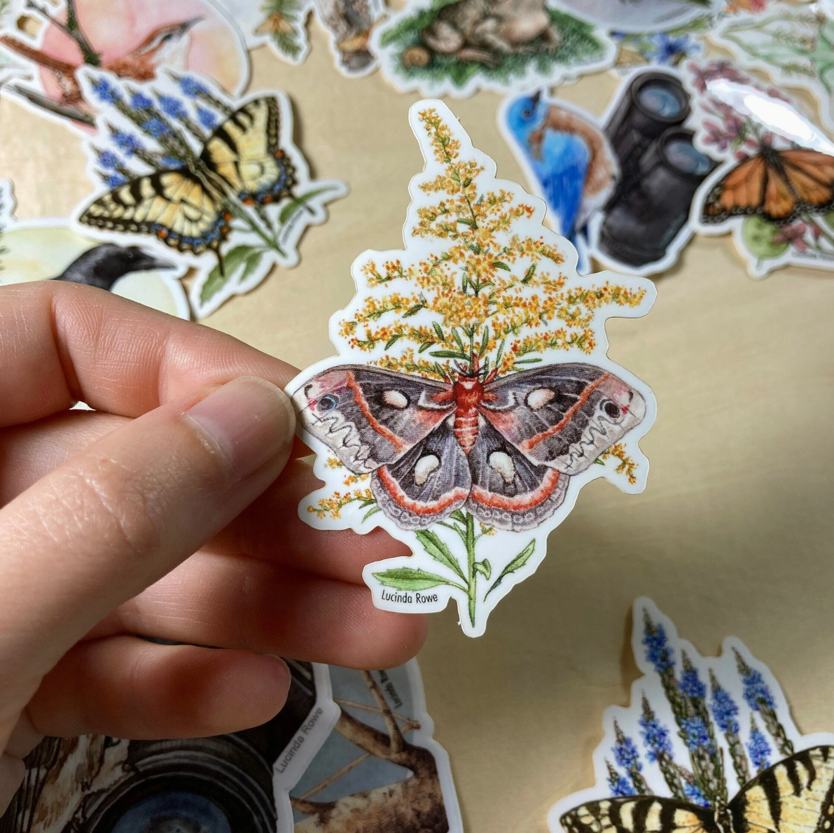 •BUTTERFLIES & BUGS• vinyl stickers