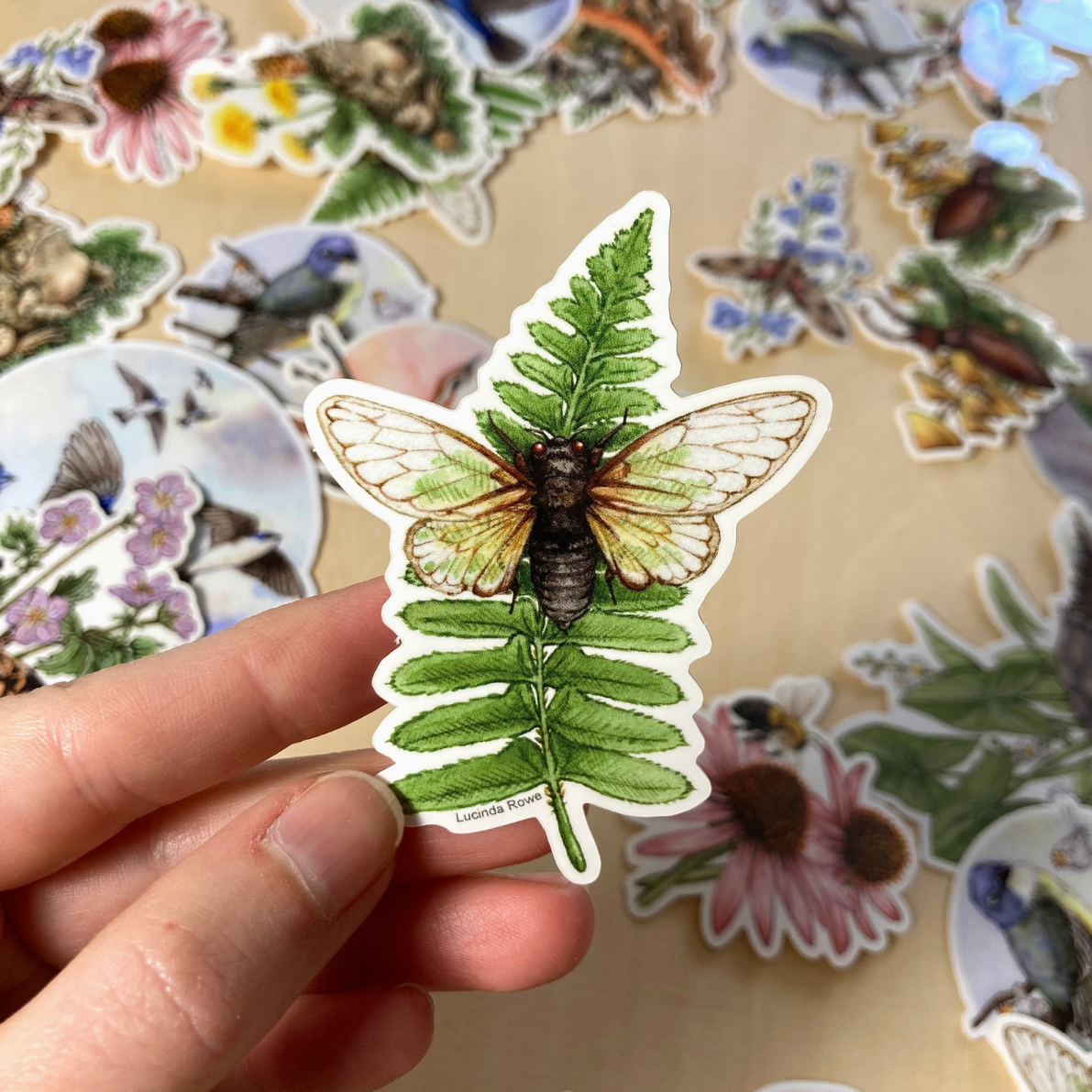 •BUTTERFLIES & BUGS• vinyl stickers