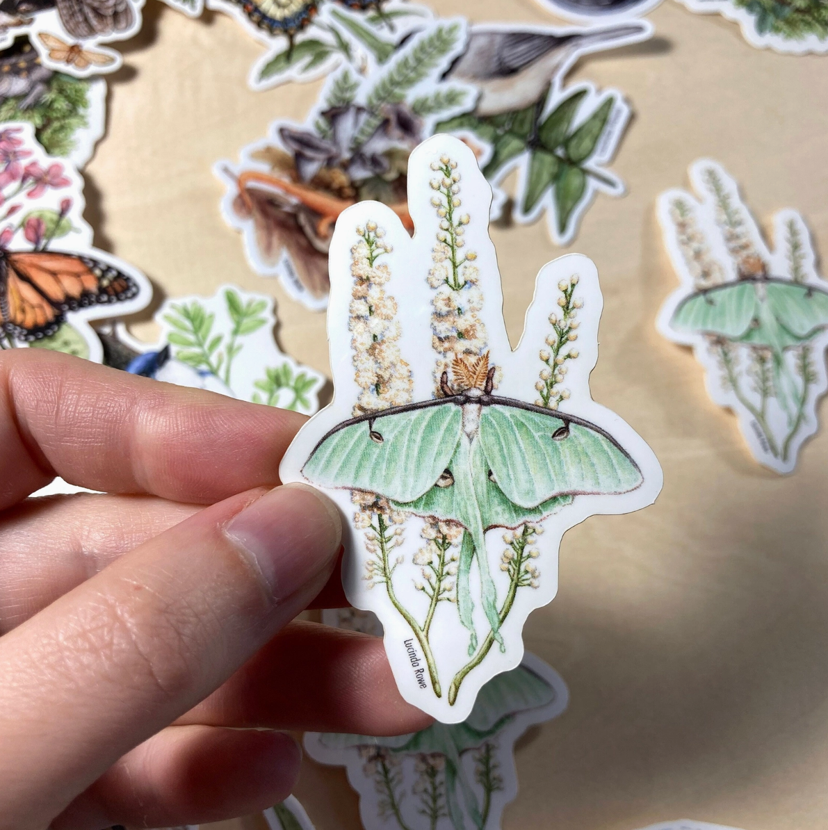 •BUTTERFLIES & BUGS• vinyl stickers