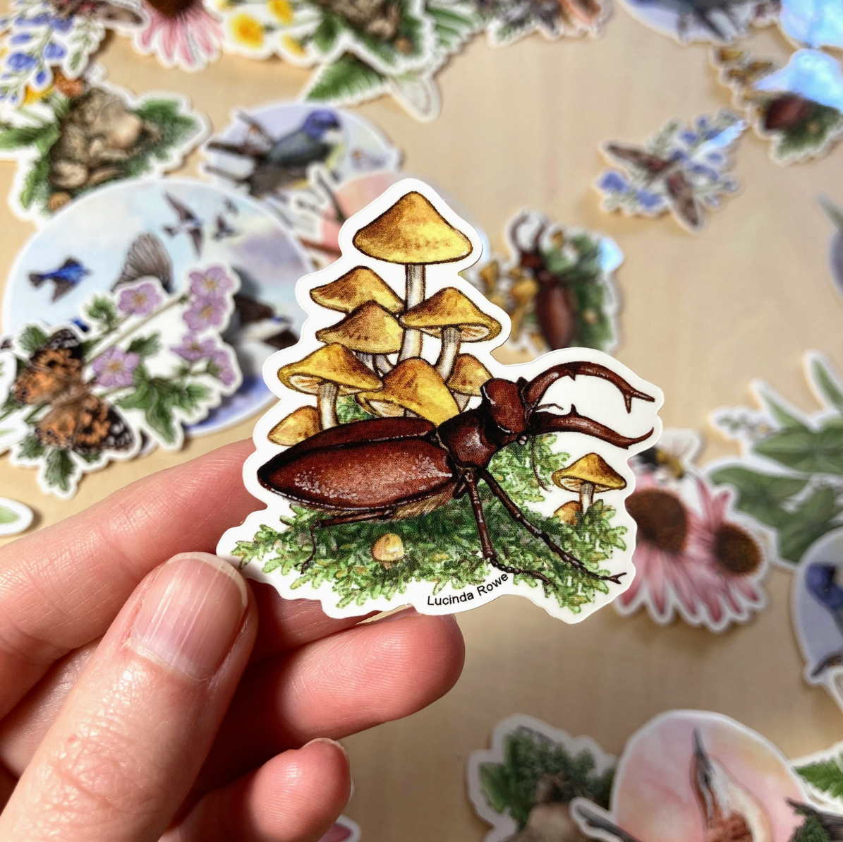 •BUTTERFLIES & BUGS• vinyl stickers