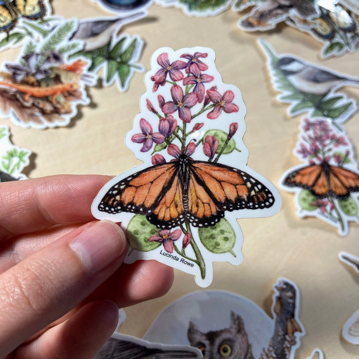 •BUTTERFLIES & BUGS• vinyl stickers