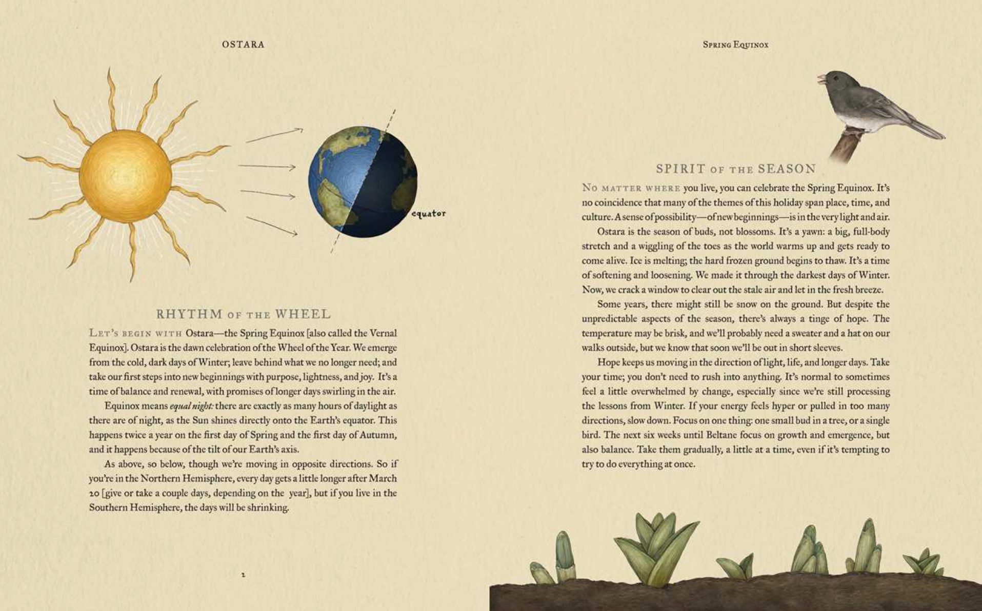 •WHEEL OF THE YEAR• hardcover book