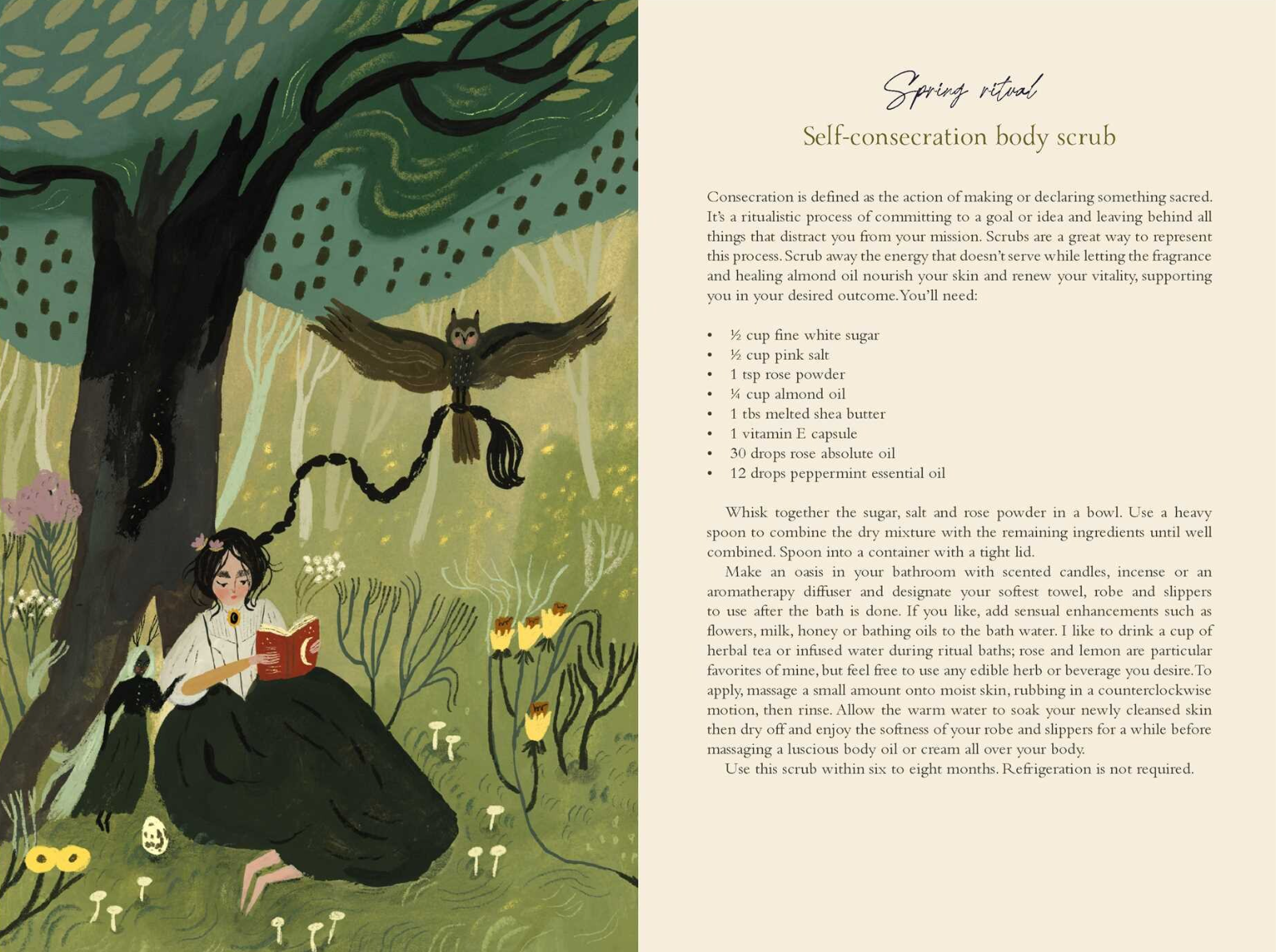•SEASONS OF THE WITCH• 2026 planner