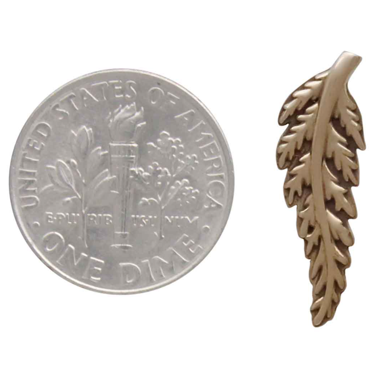 •FERN• bronze stud earrings
