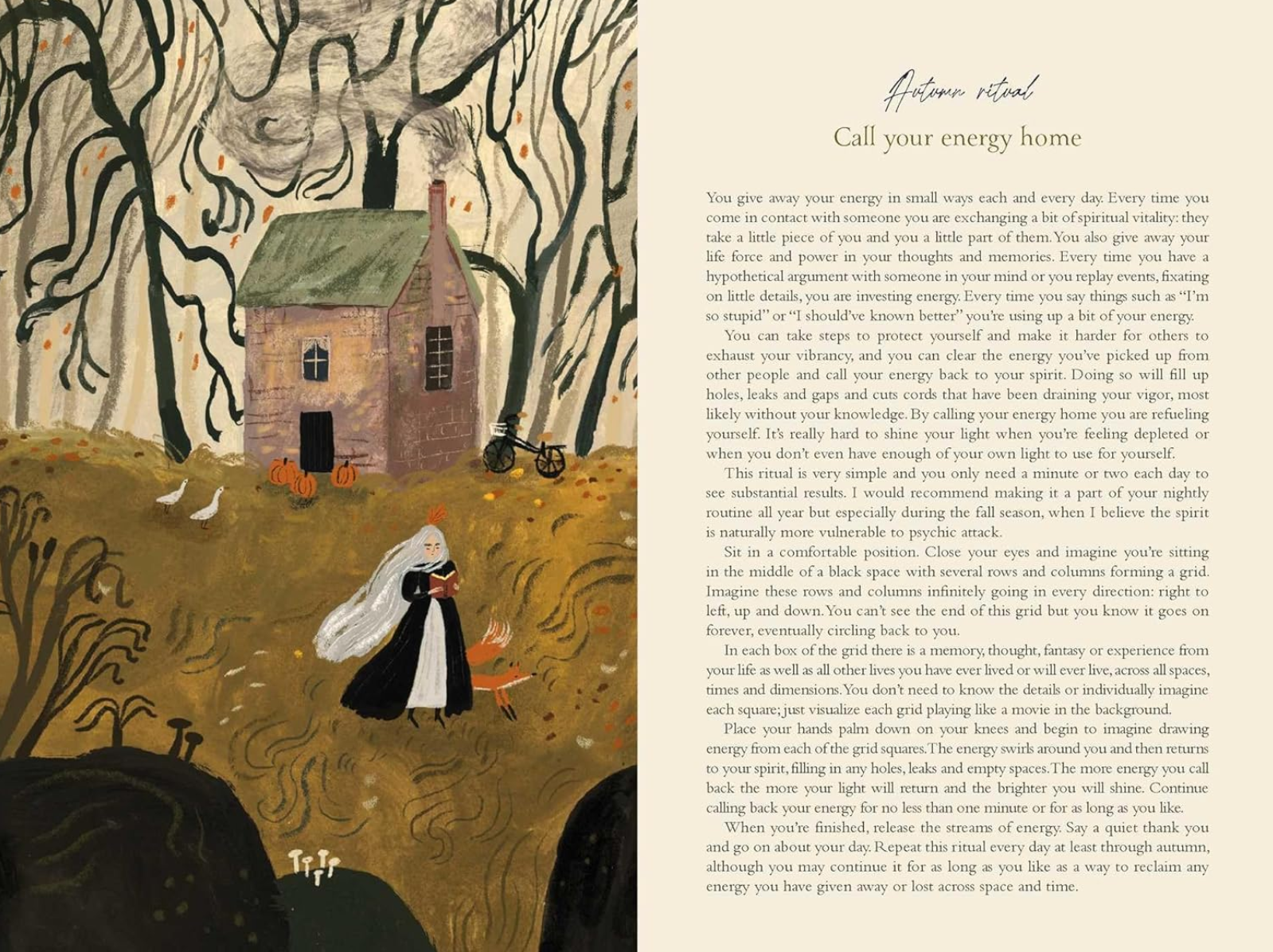 •SEASONS OF THE WITCH• 2026 planner
