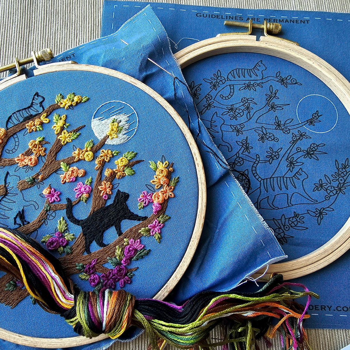 •CATWALK• beginner-ish friendly embroidery kit