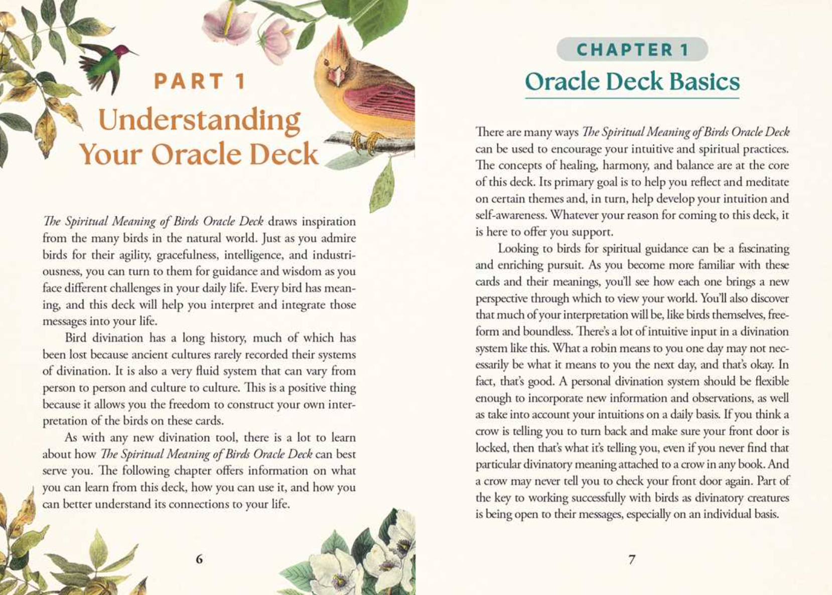 •SPIRITUAL MEANING OF BIRDS• oracle deck