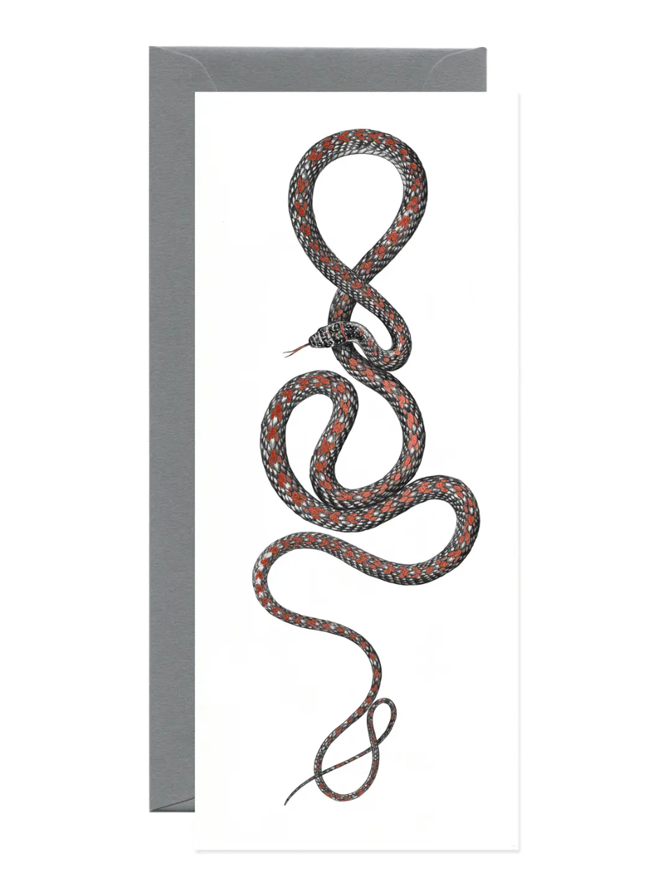 •PARADISE FLYING SNAKE• foil greeting card