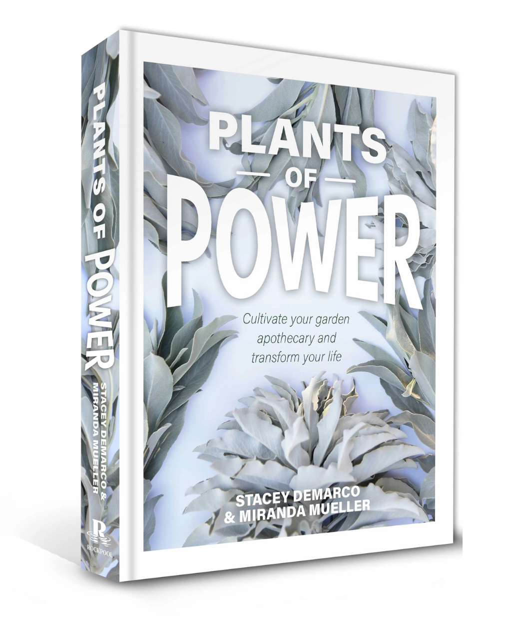 •PLANTS OF POWER• hardback book