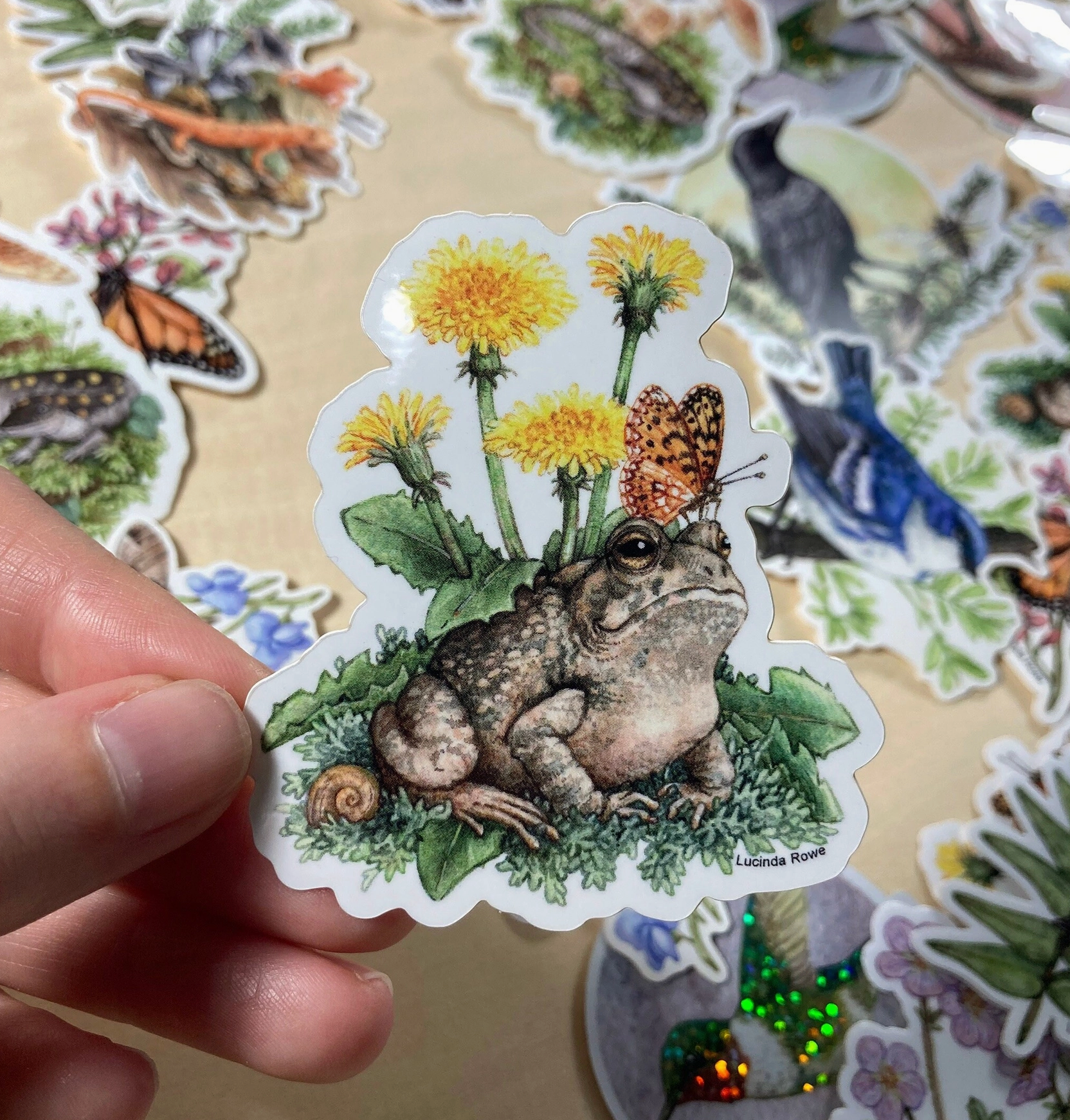 •REPTILES & AMPHIBIANS• vinyl stickers