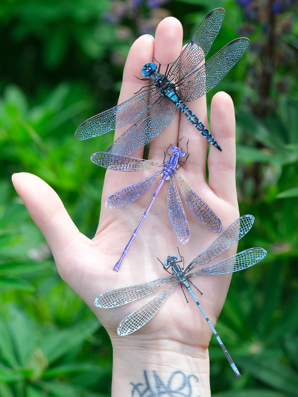 •AERIAL• dragonfly fine paper specimens