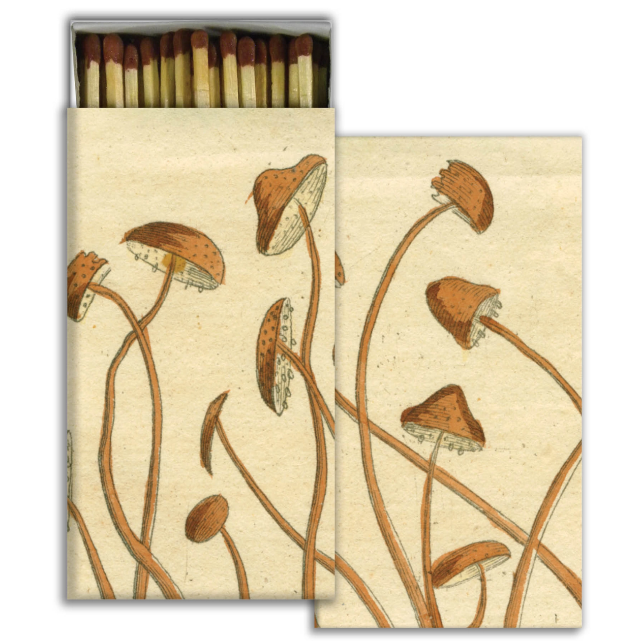 •ILLUSTRATED• matchboxes (various designs)