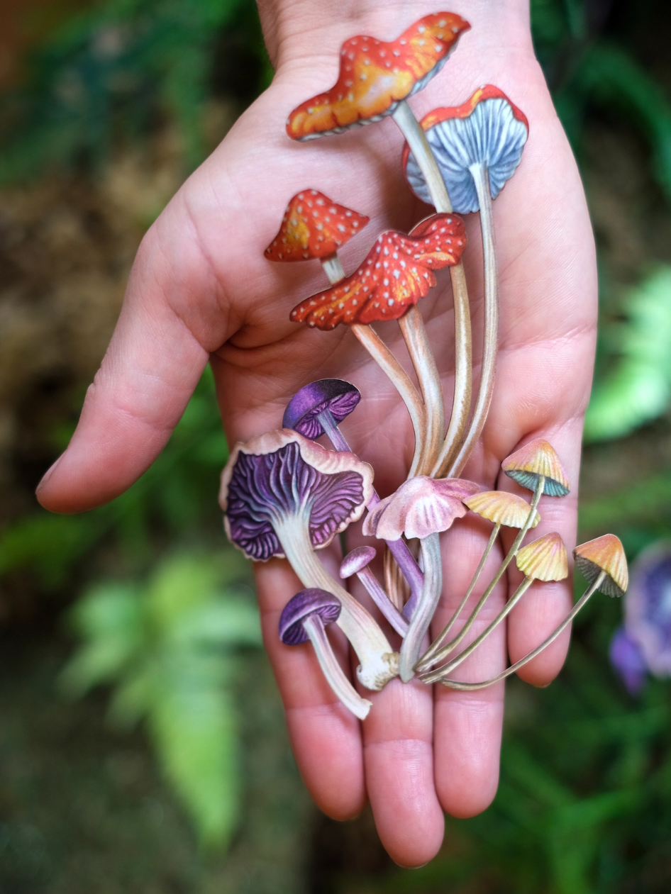 •FUNGAL• mushroom fine paper specimens