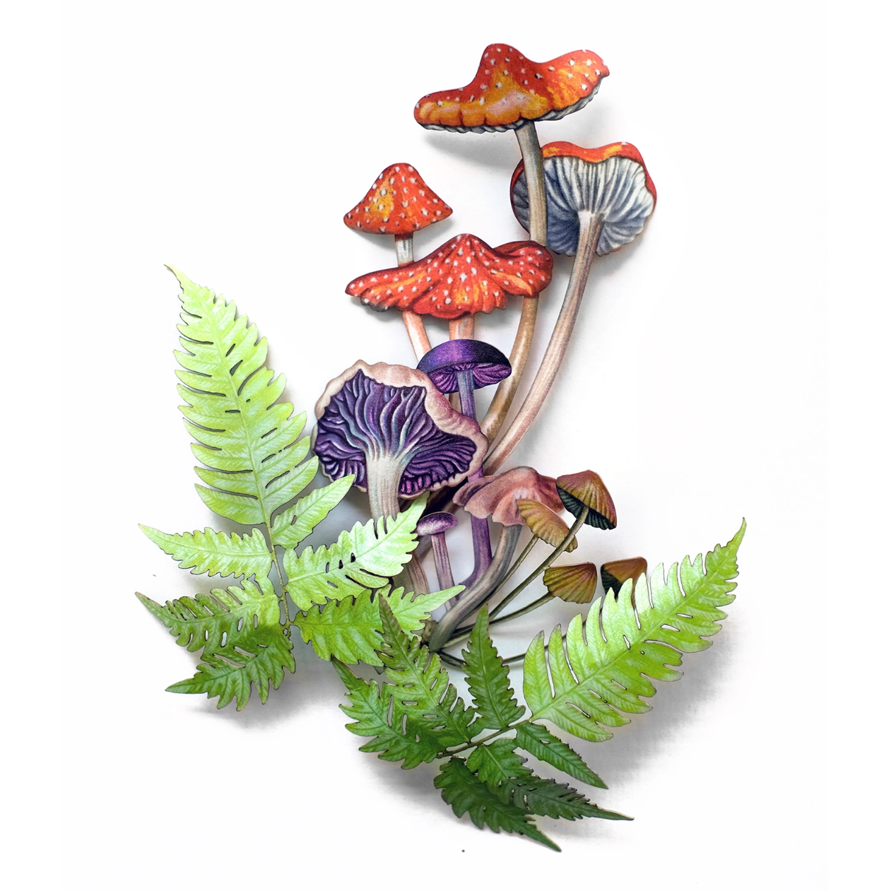 •FUNGAL• mushroom fine paper specimens